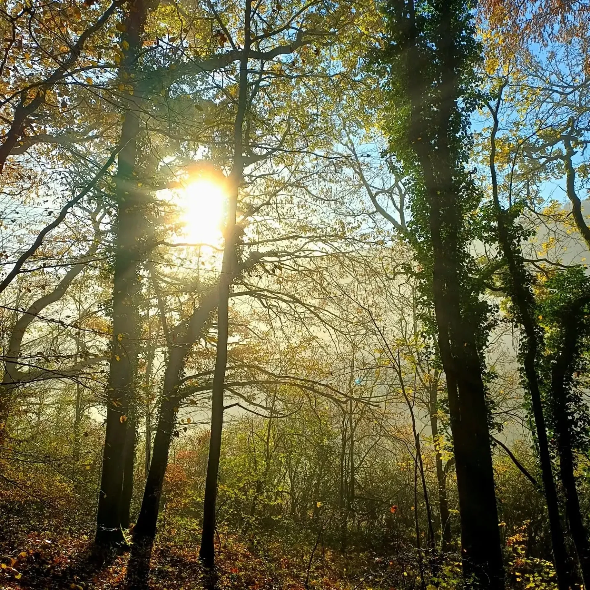 Kraft, Ruhe & Verbindung beim Yoga-Wochenende im Waldviertel - 3