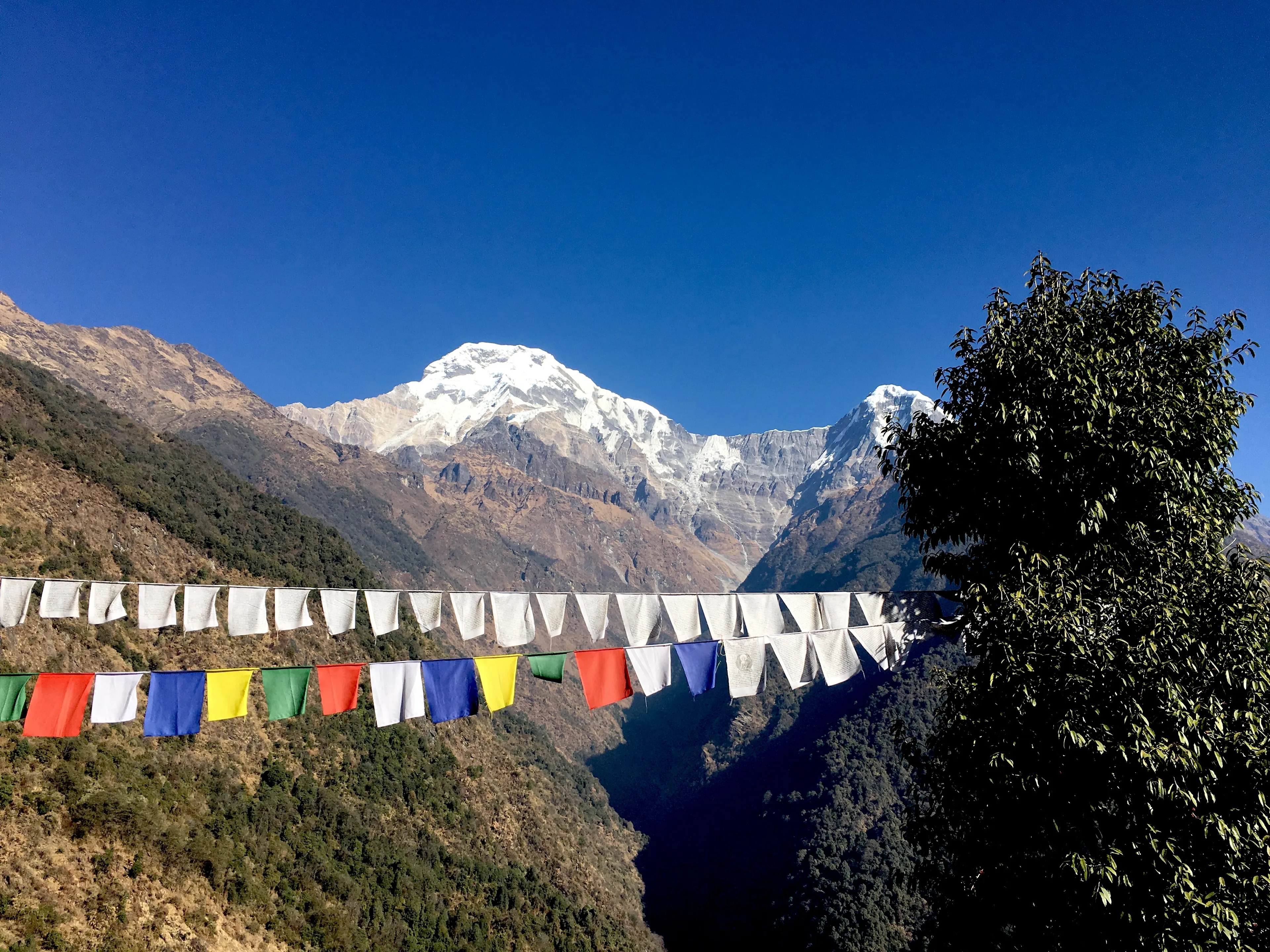 Annapurna Base Camp Trekking in Nepal - 5