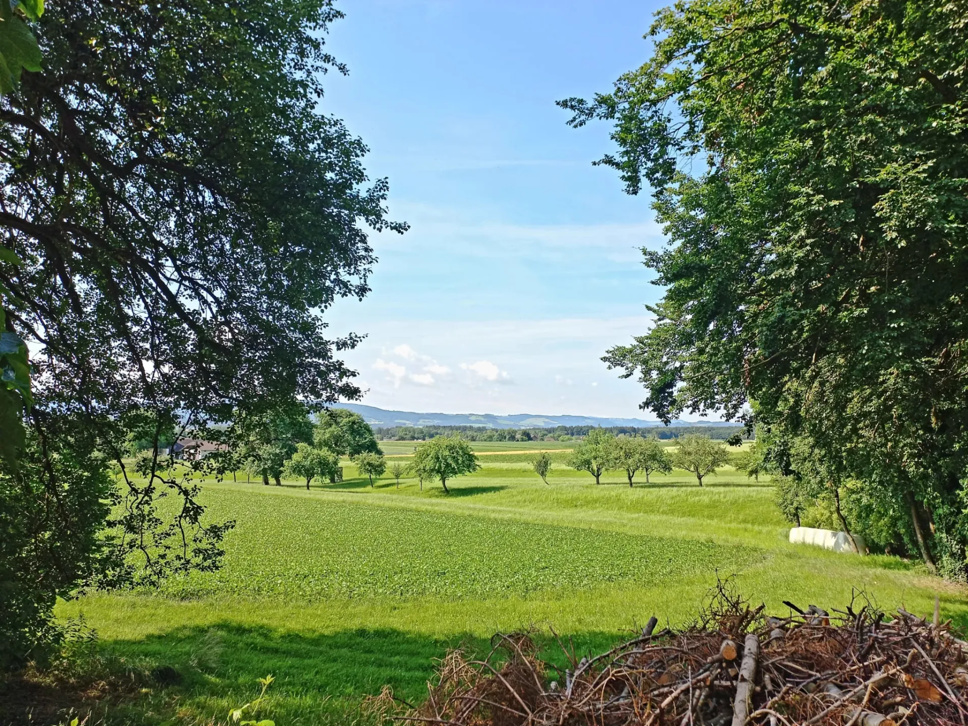 Begegne deinem wahren Selbst: Stilles Yoga Retreat im Ashram - 3