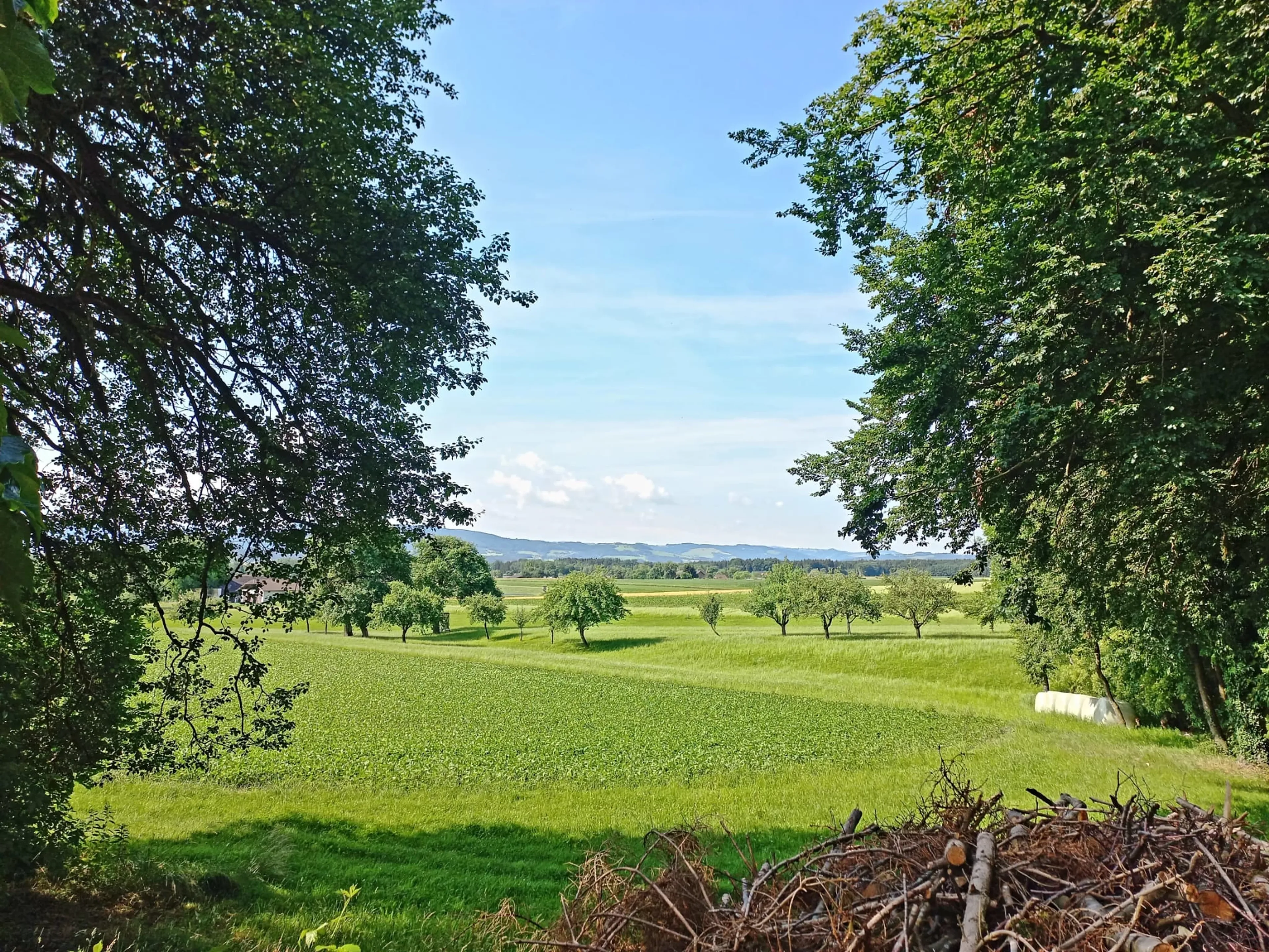 Begegne deinem wahren Selbst: Stilles Yoga Retreat im Ashram - 3