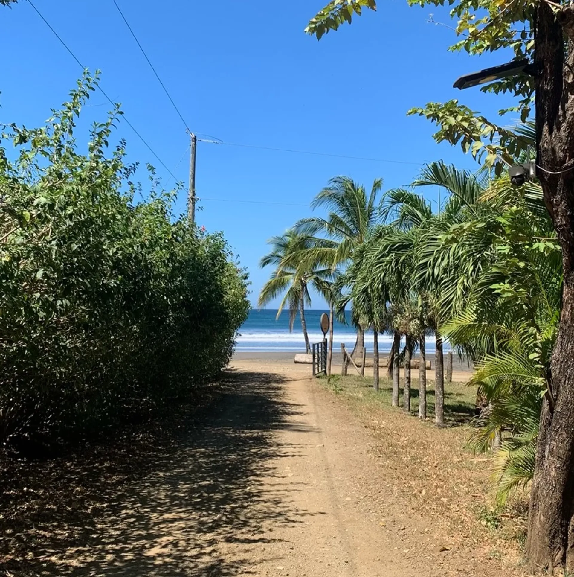 Vom Strand in die Hängematte – dein Surfurlaub im Paradies - 3