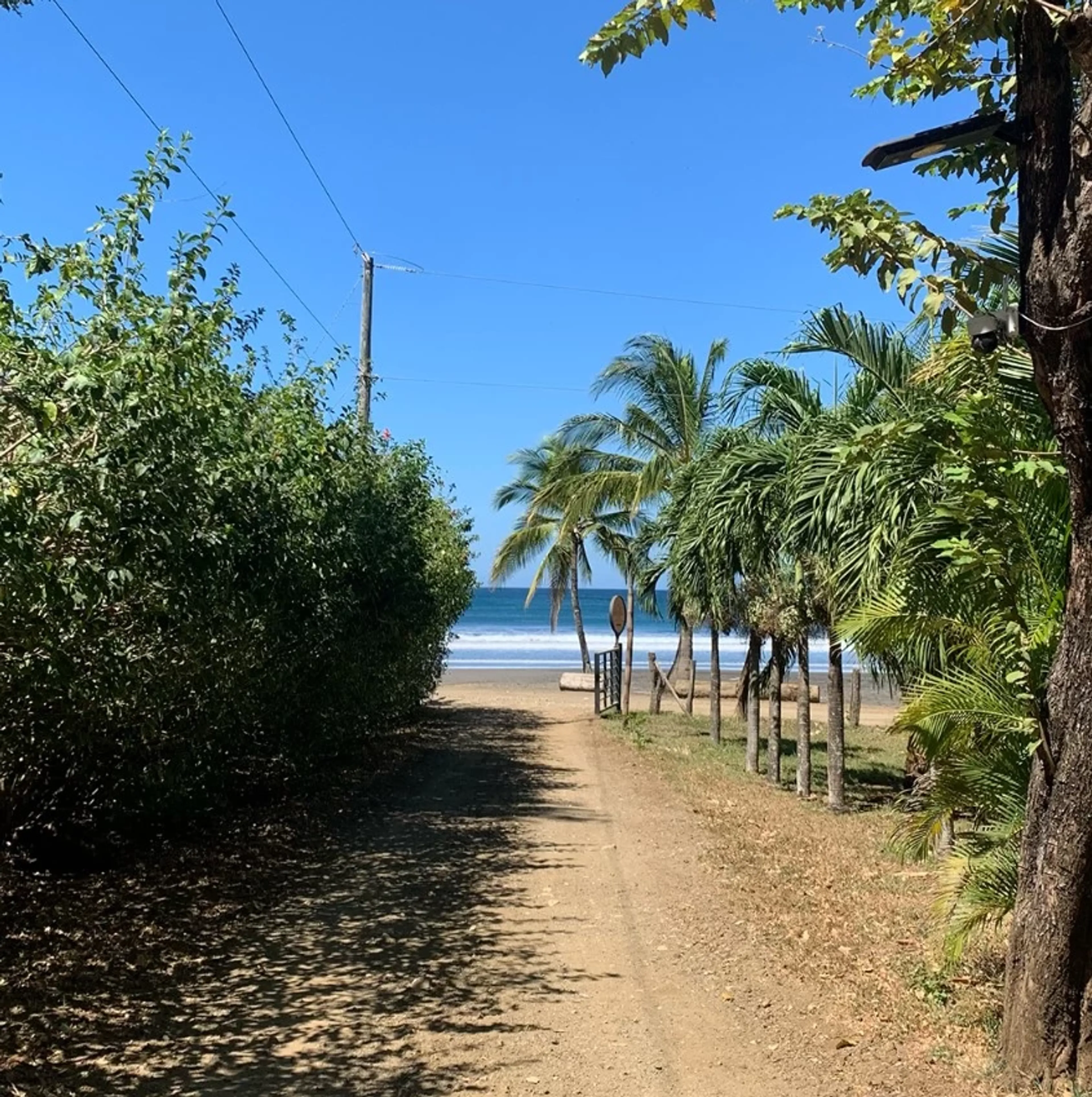 Vom Strand in die Hängematte – dein Surfurlaub im Paradies - 3
