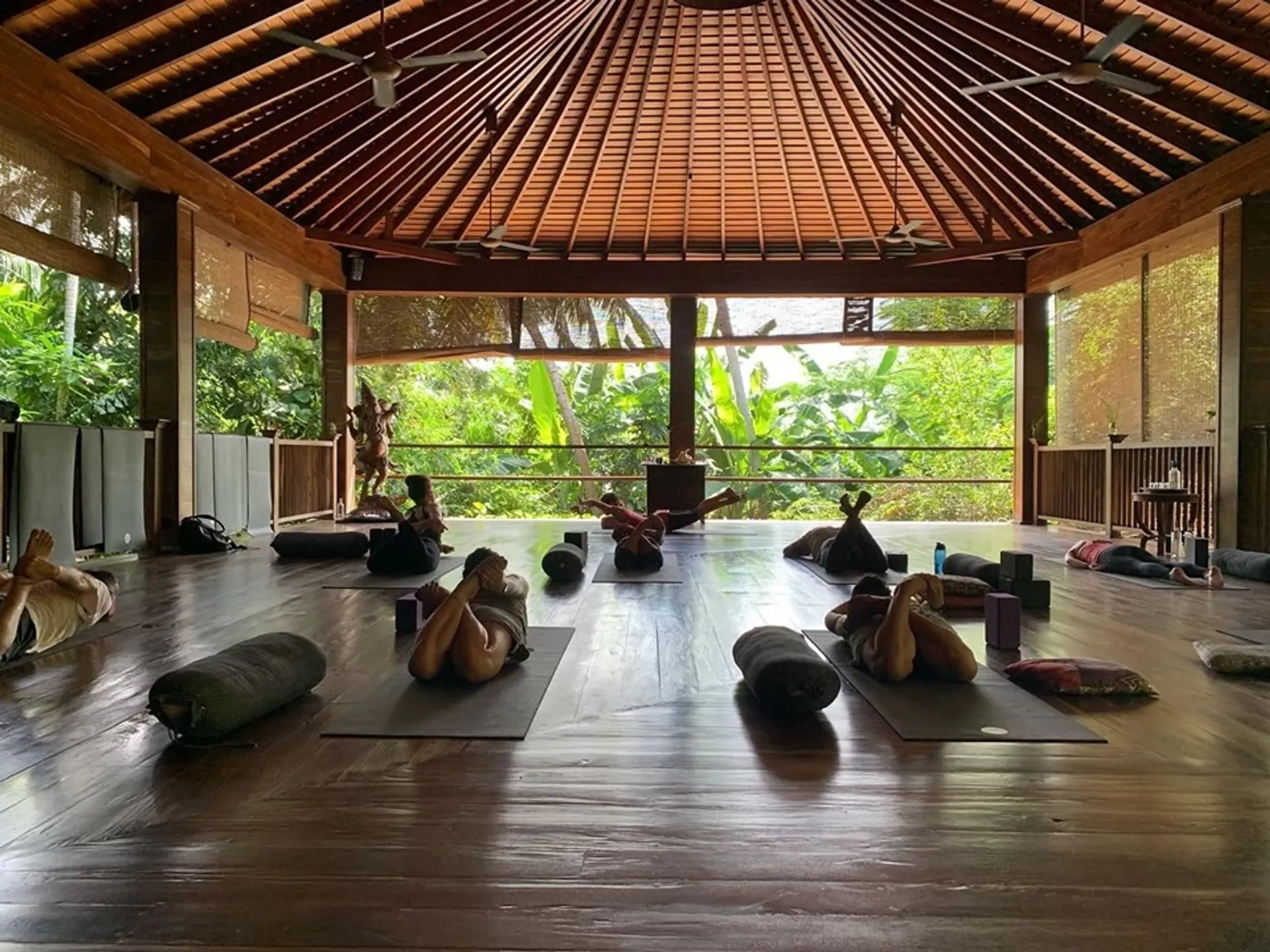 Yoga, Dschungel und Meer: Traumurlaub in Unawatuna - 3