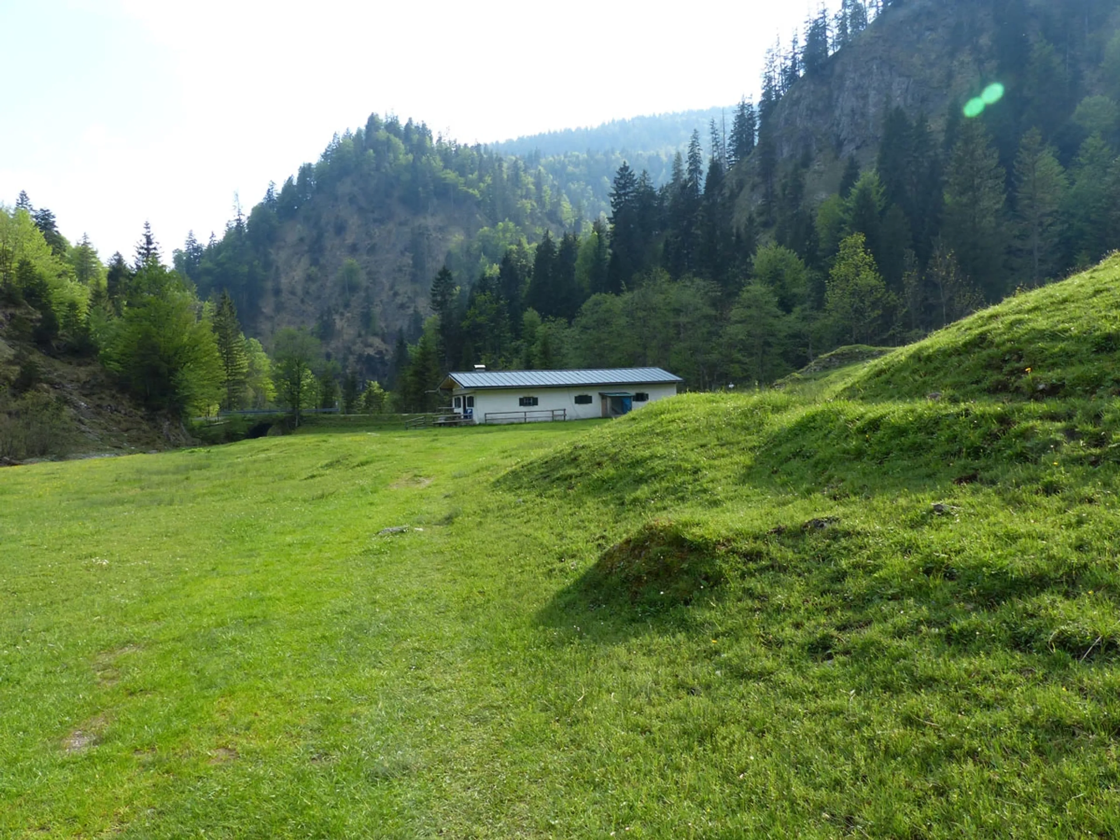 Yoga und Wandern im traumhaften Isarwinkel - 5