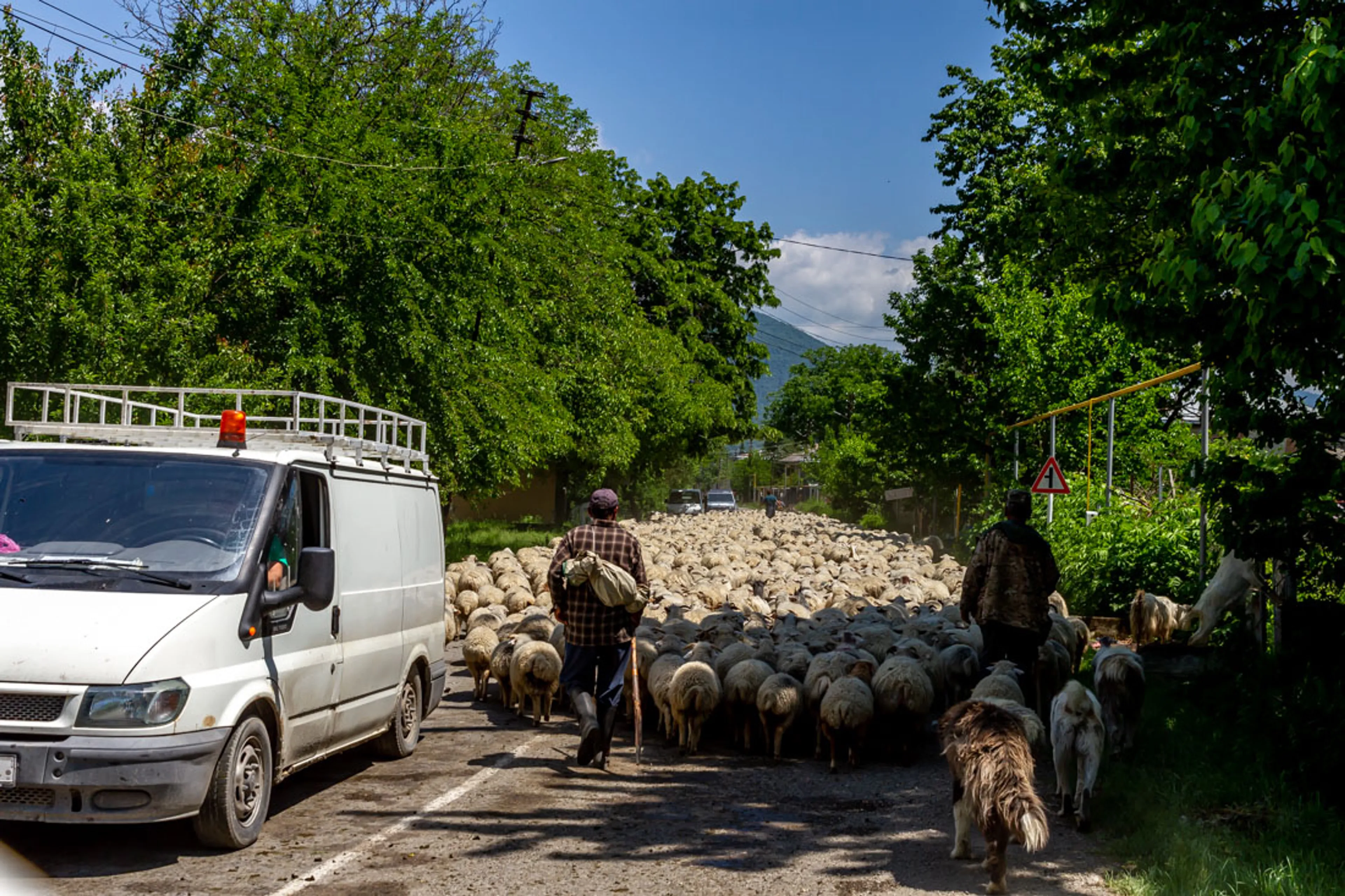 Tuscheti National Park - Trekkingtour durch die Wildnis Georgiens - 5