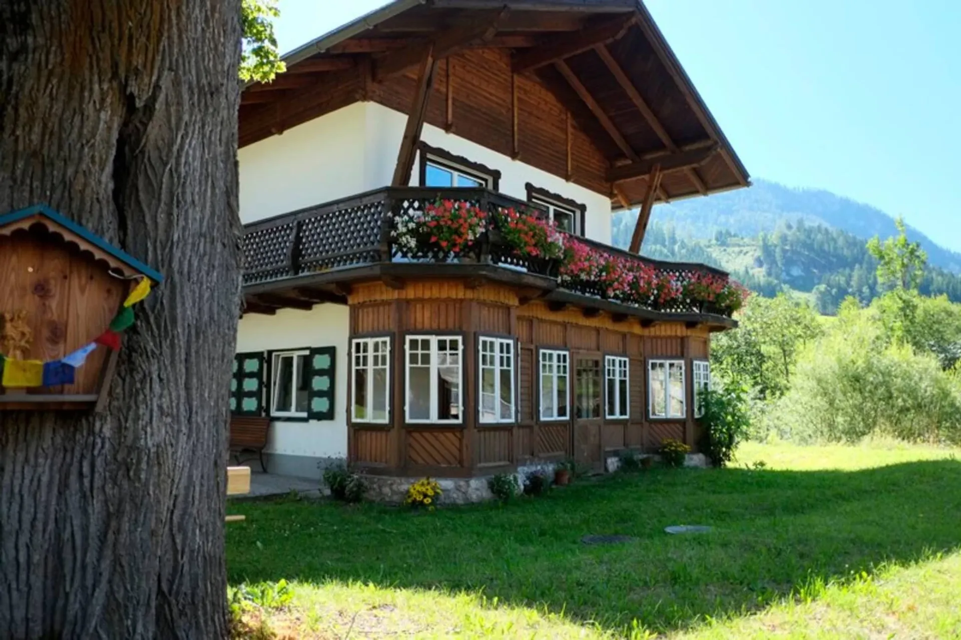 Alpenkraft Retreat - Dein Yoga-Wochenende zum Auftanken - 2