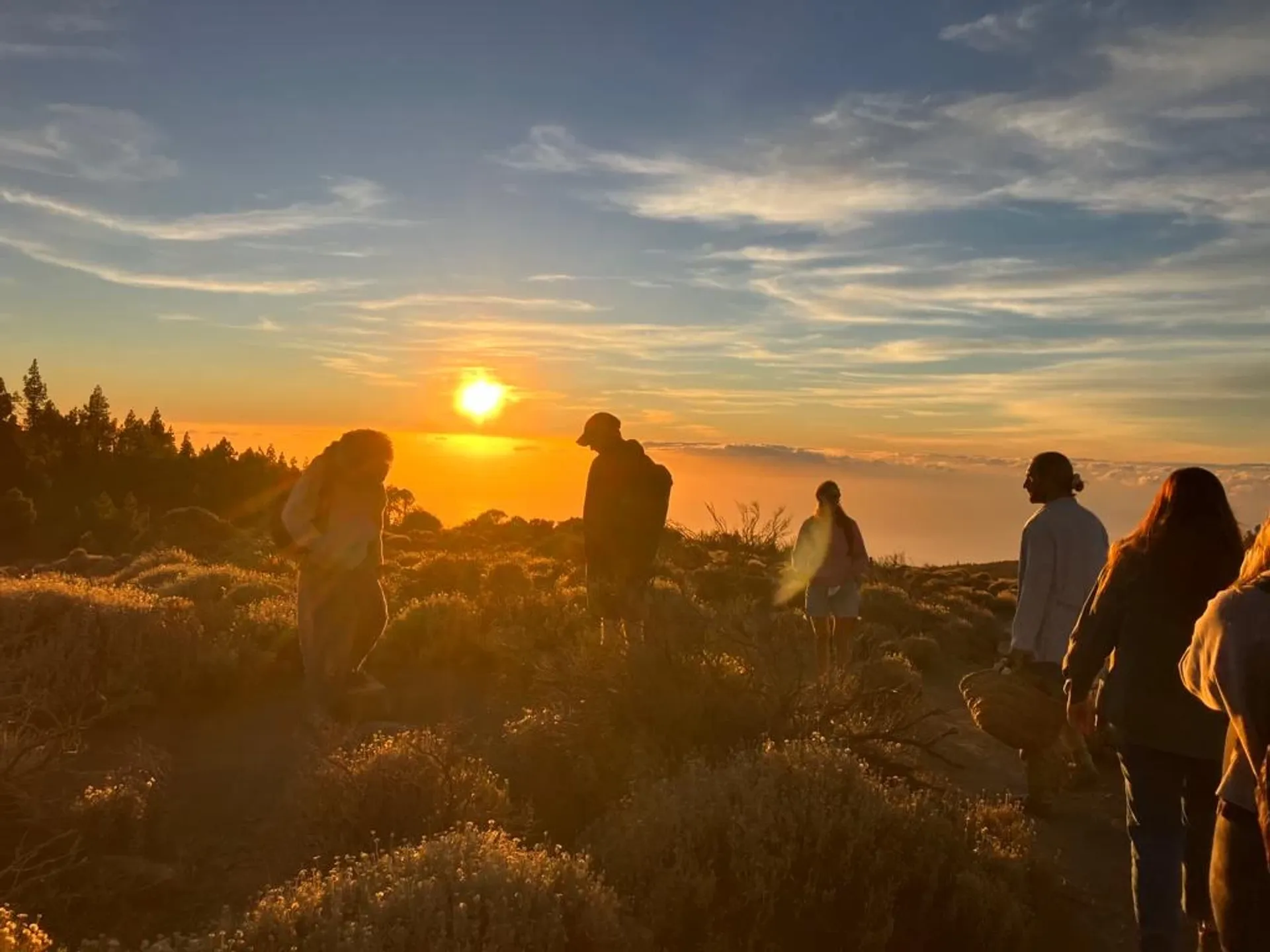 Roots to the Heart – Atem & Wandel auf Teneriffa - 5