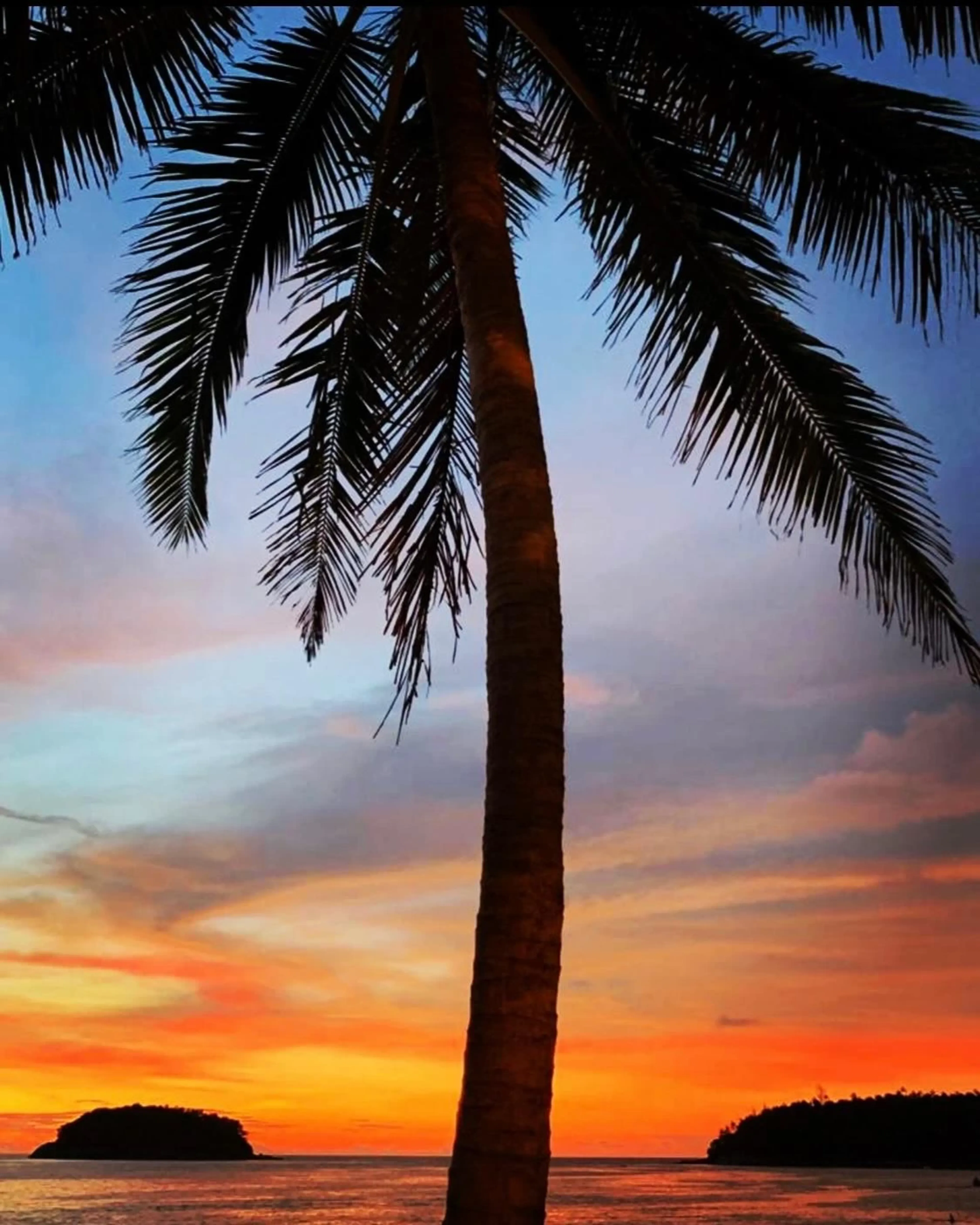 Teach From the Heat – 500h Hot Yoga Ausbildung auf Phuket - 2