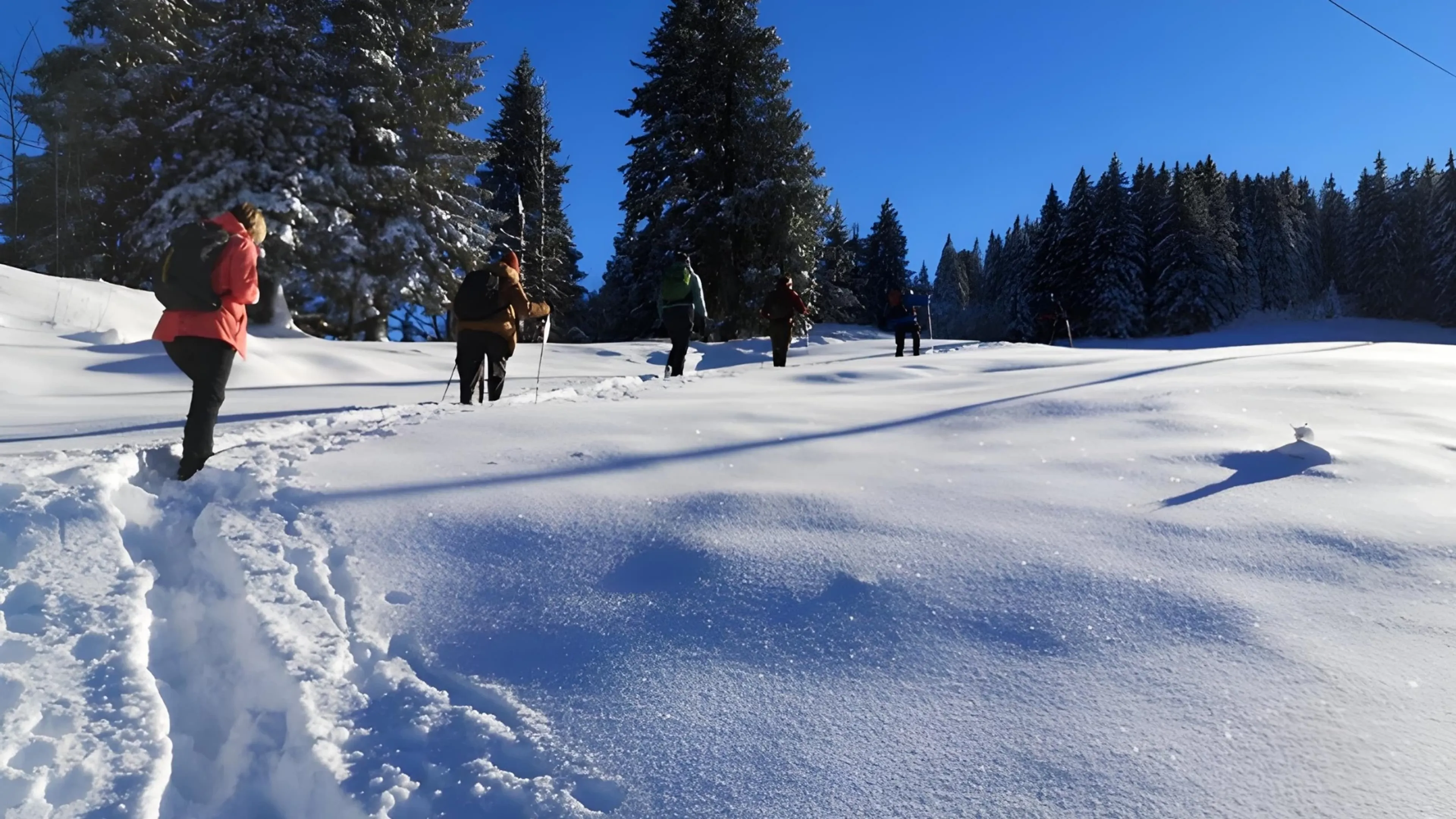 Mindful Mountain: Meditation und Winterwandern im Kleinwalsertal - 2