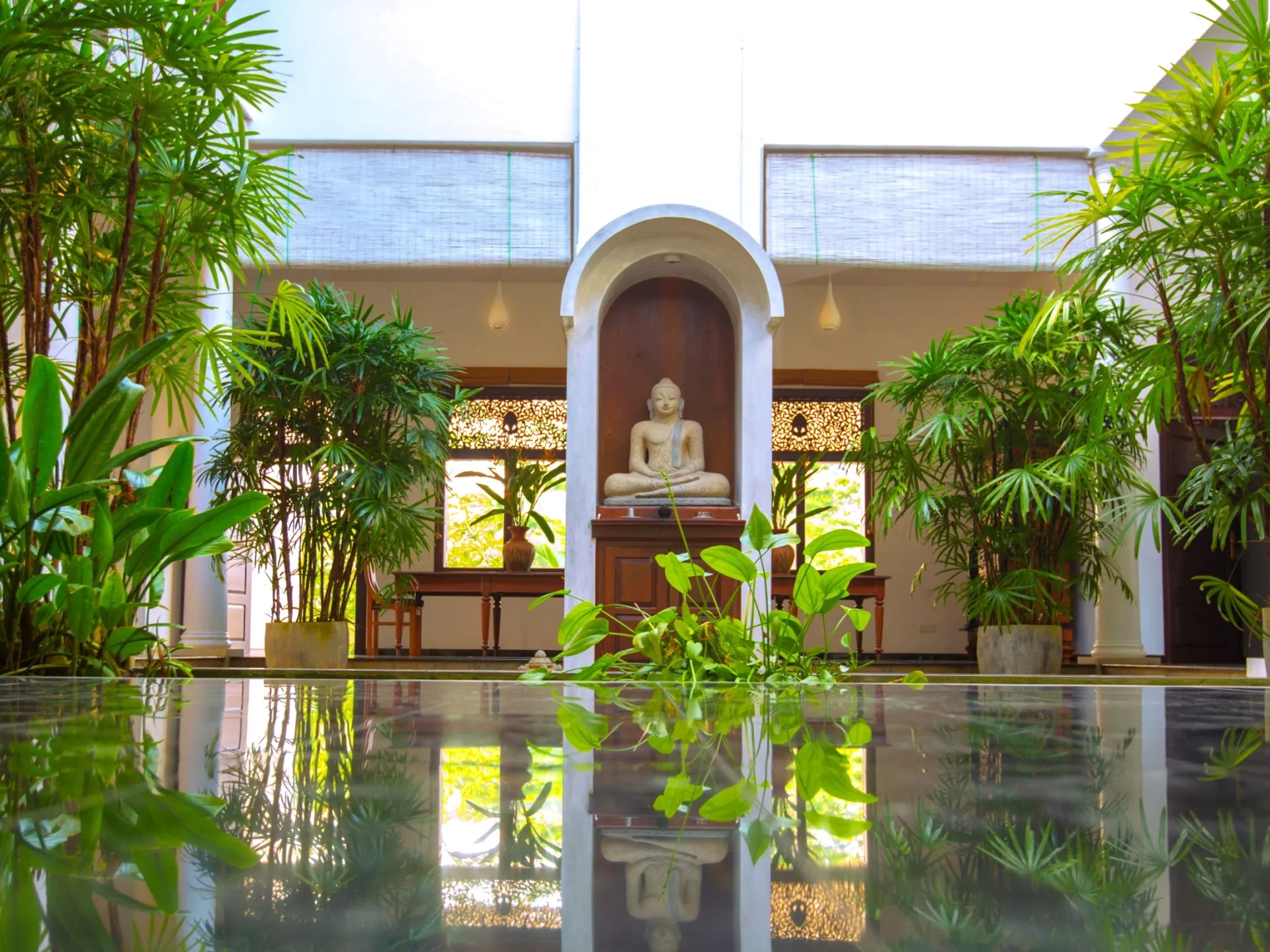 Dein Hatha & Yin Yoga Balance Retreat inmitten einer Teeplantage