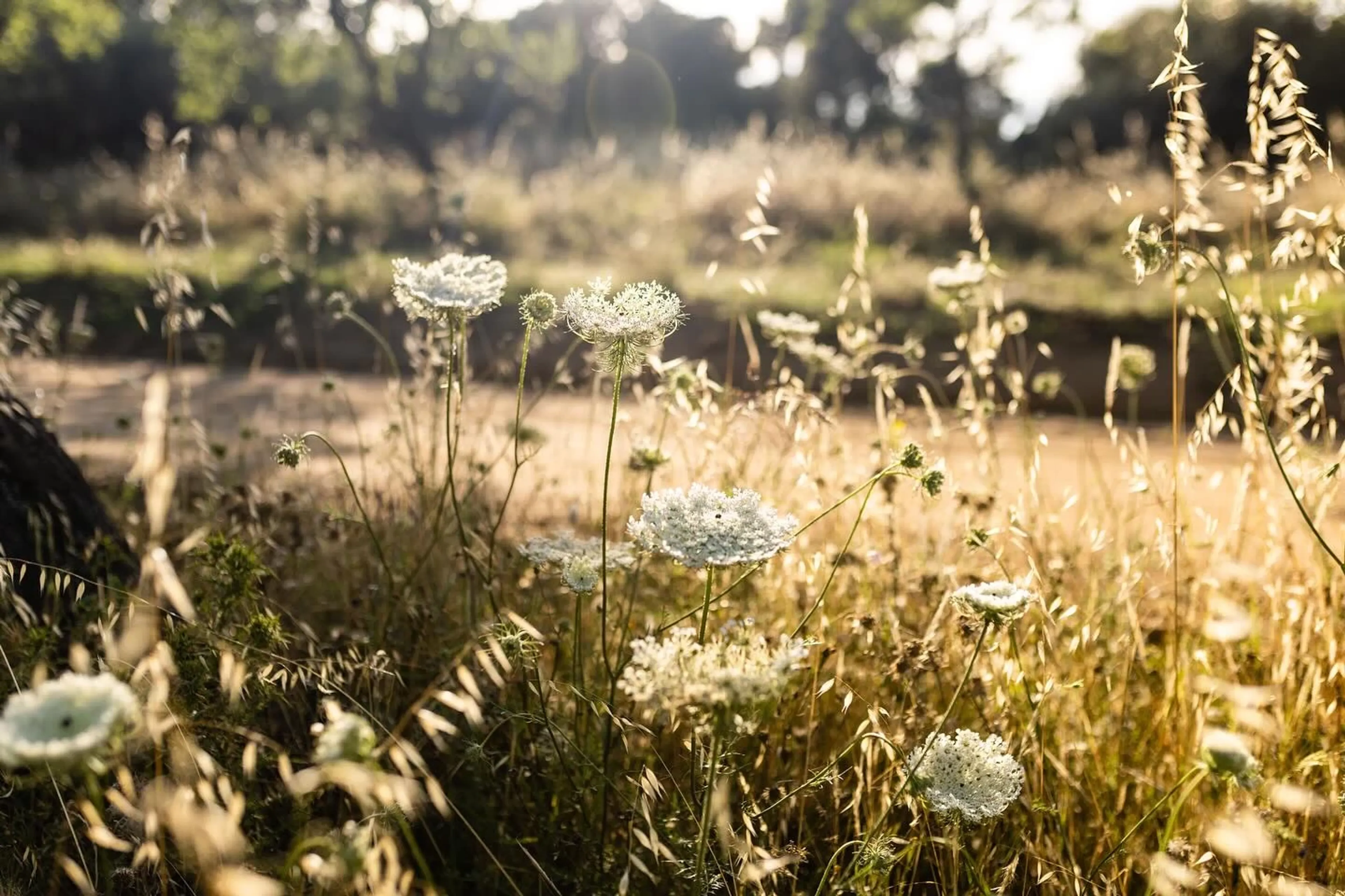 Spätsommersonne und Entspannung: Yoga-Retreat auf Sardinien - 4