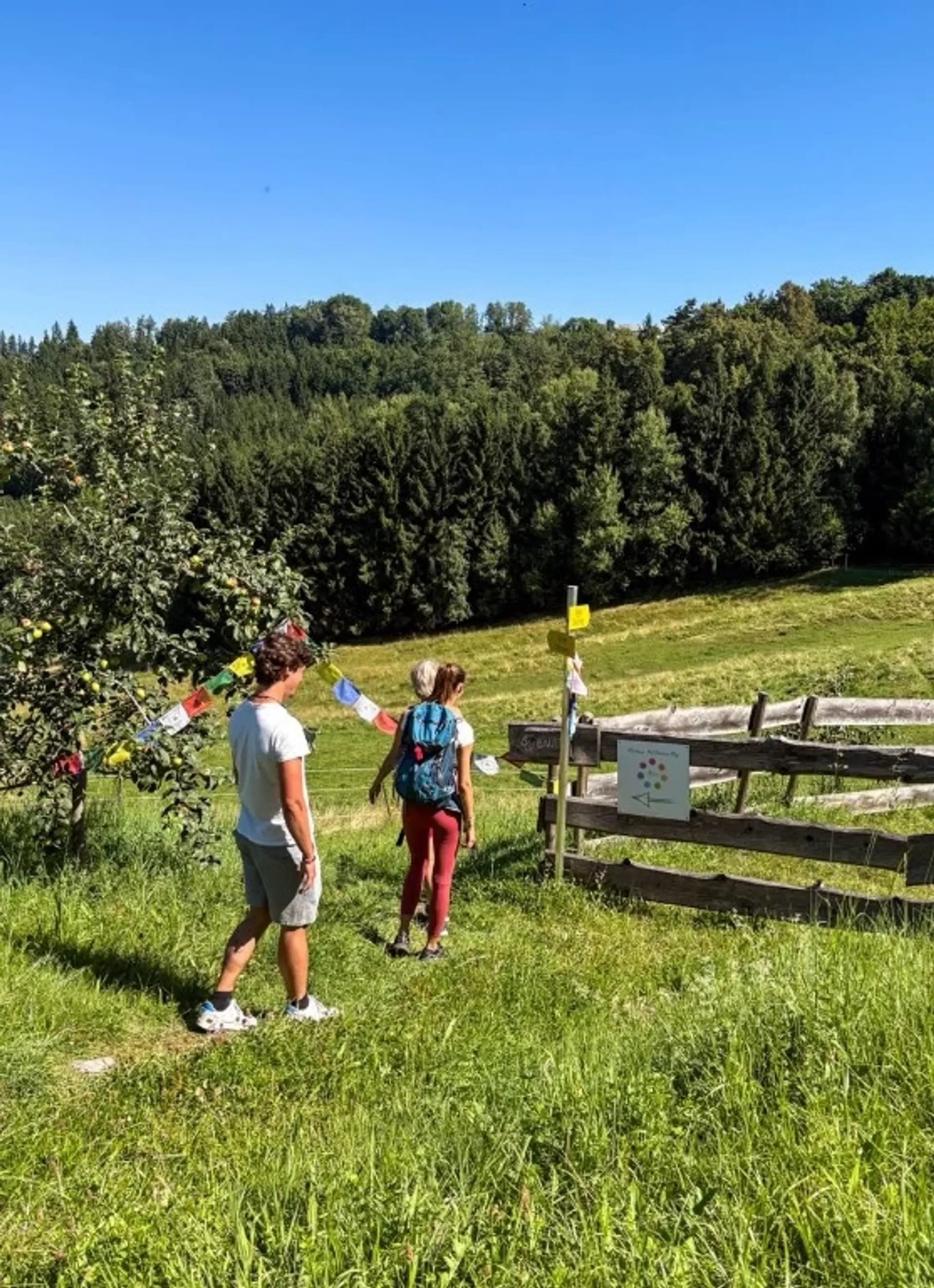 Yoga, Wandern und Alpaka-Abenteuer in malerischer Umgebung - 3