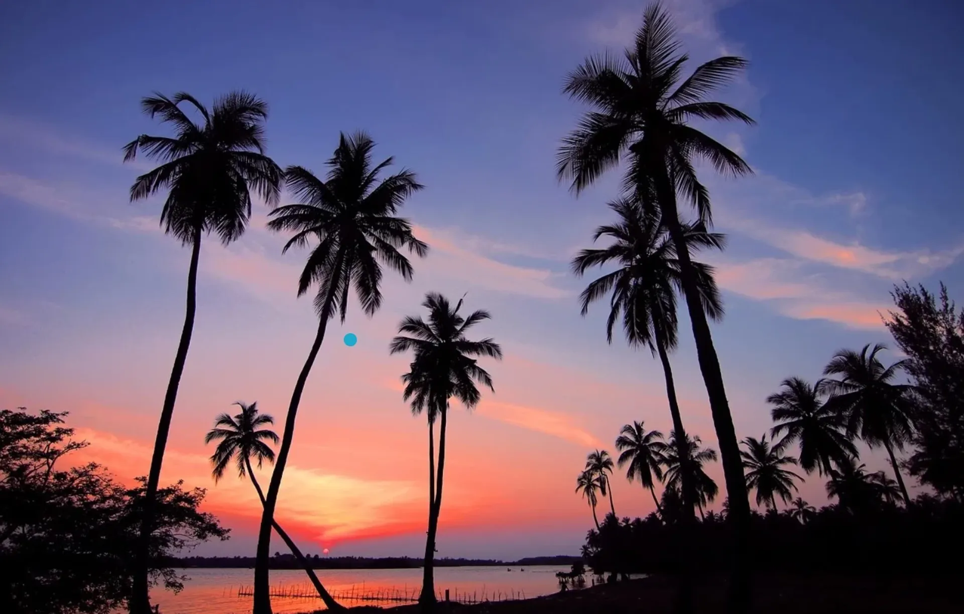 Zwischen Strand und Hostel-Vibes: Surfen & Yoga in Sri Lanka - 4