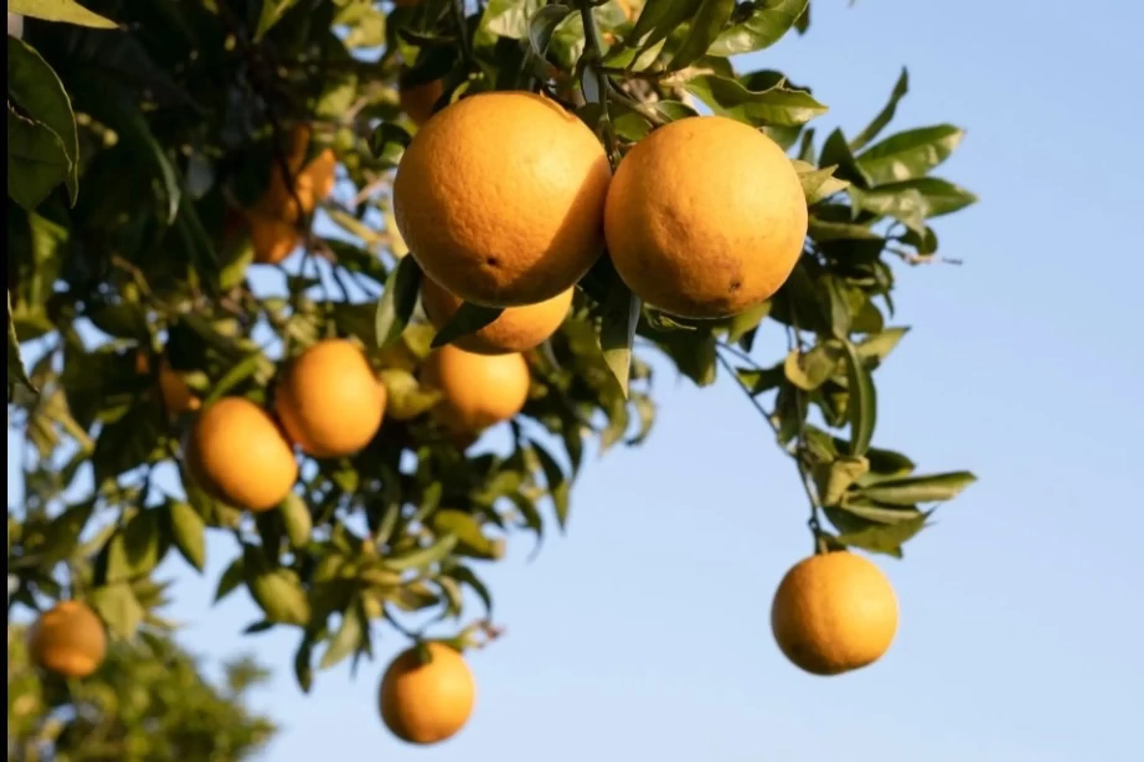 Reconnect & Recharge: Yoga in der weiten Natur Alentejos - 3