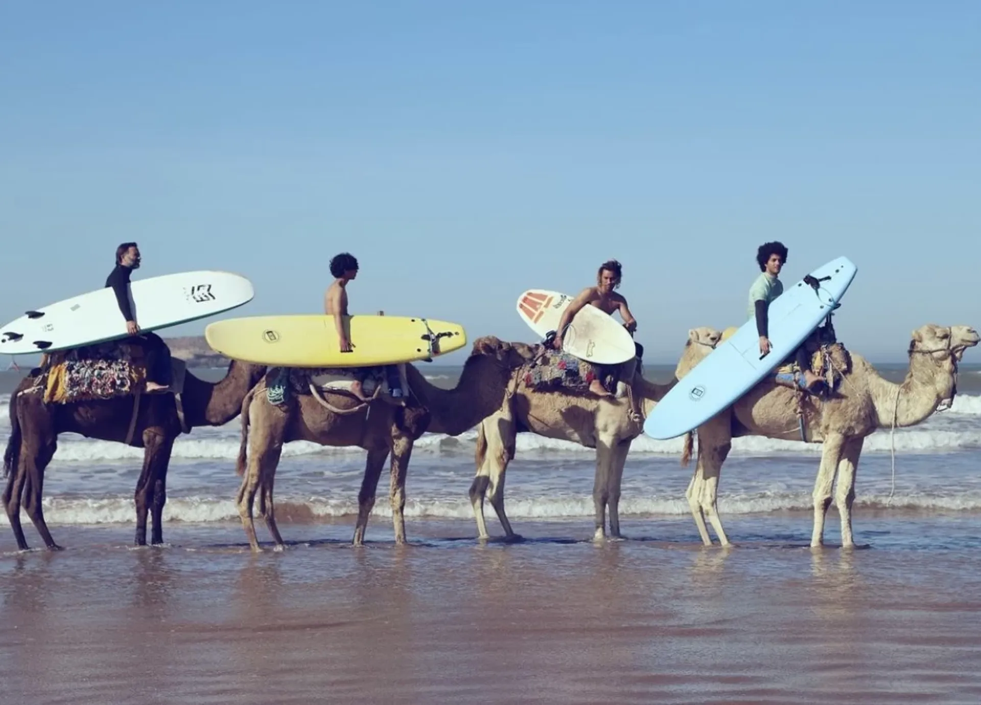 Surfen, Sonne und Leben in der Medina: Essaouira ruft! - 4