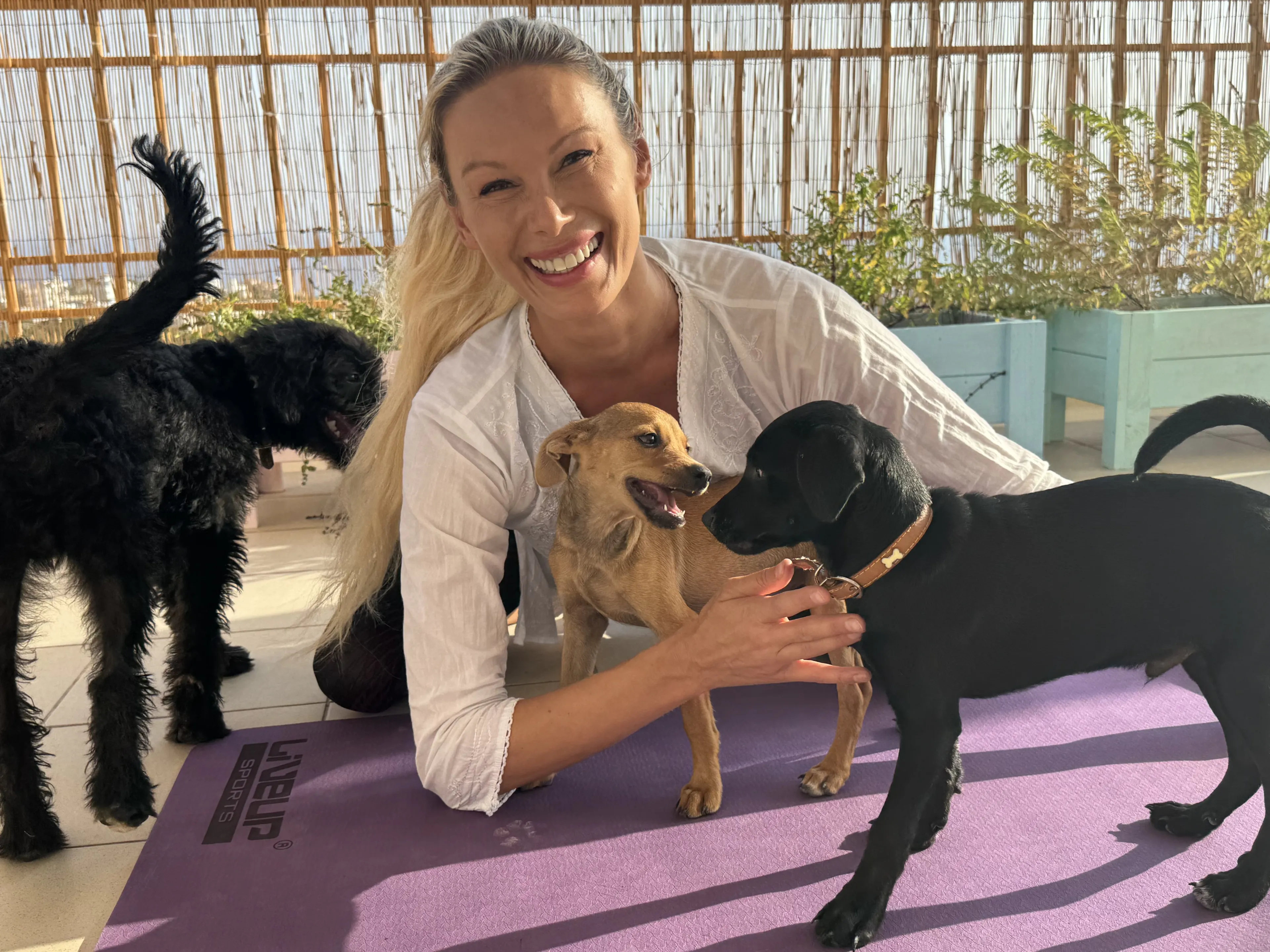 Puppy Yoga und Erholung pur: Retreat an Zyperns Küste - 2