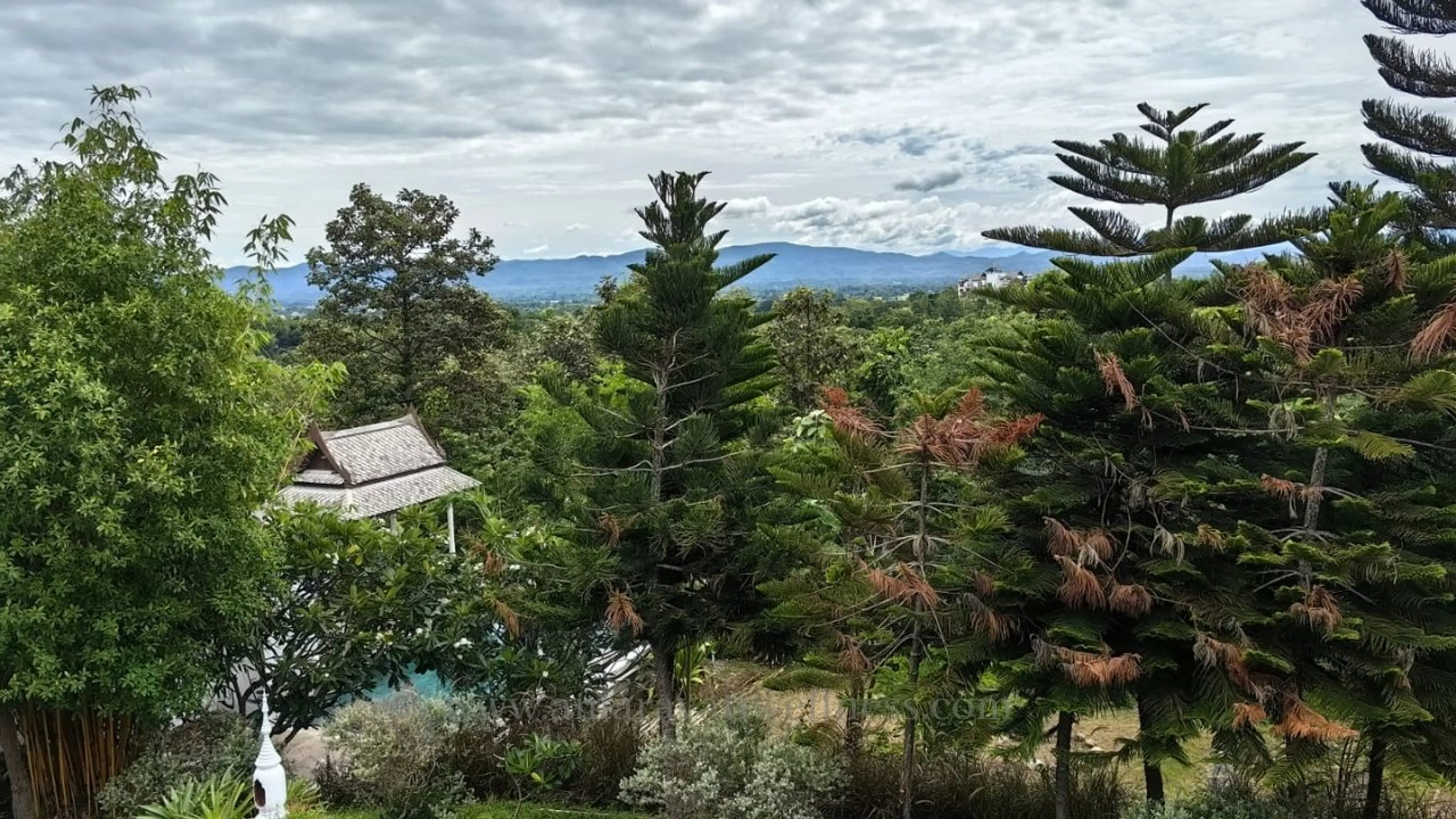 Yoga-Meditations-Retreat für Anfänger:innen im Herzen von Chiang Mai - 4