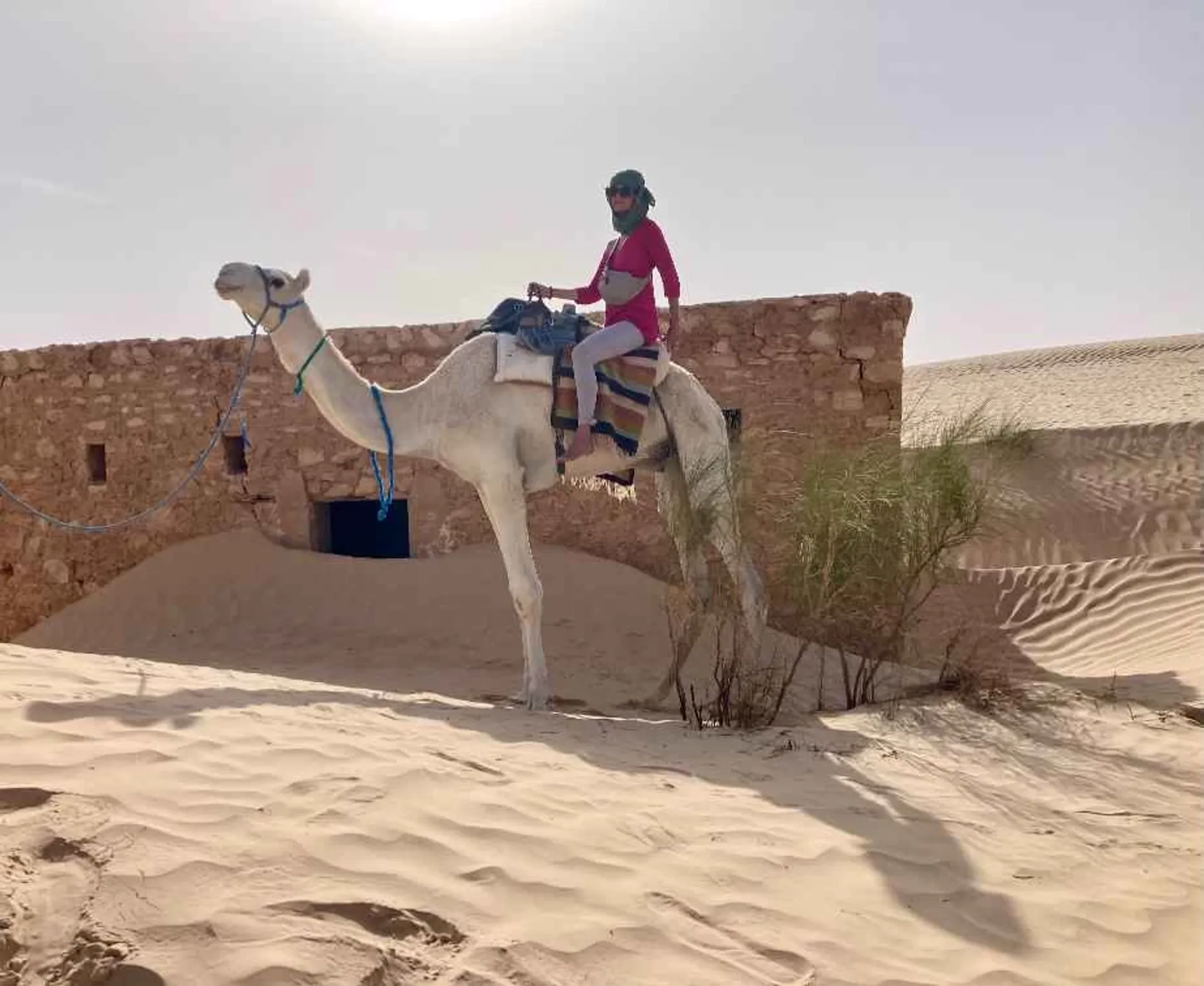 Kameltrekking und Wüstenmagie in der Sahara Tunesiens