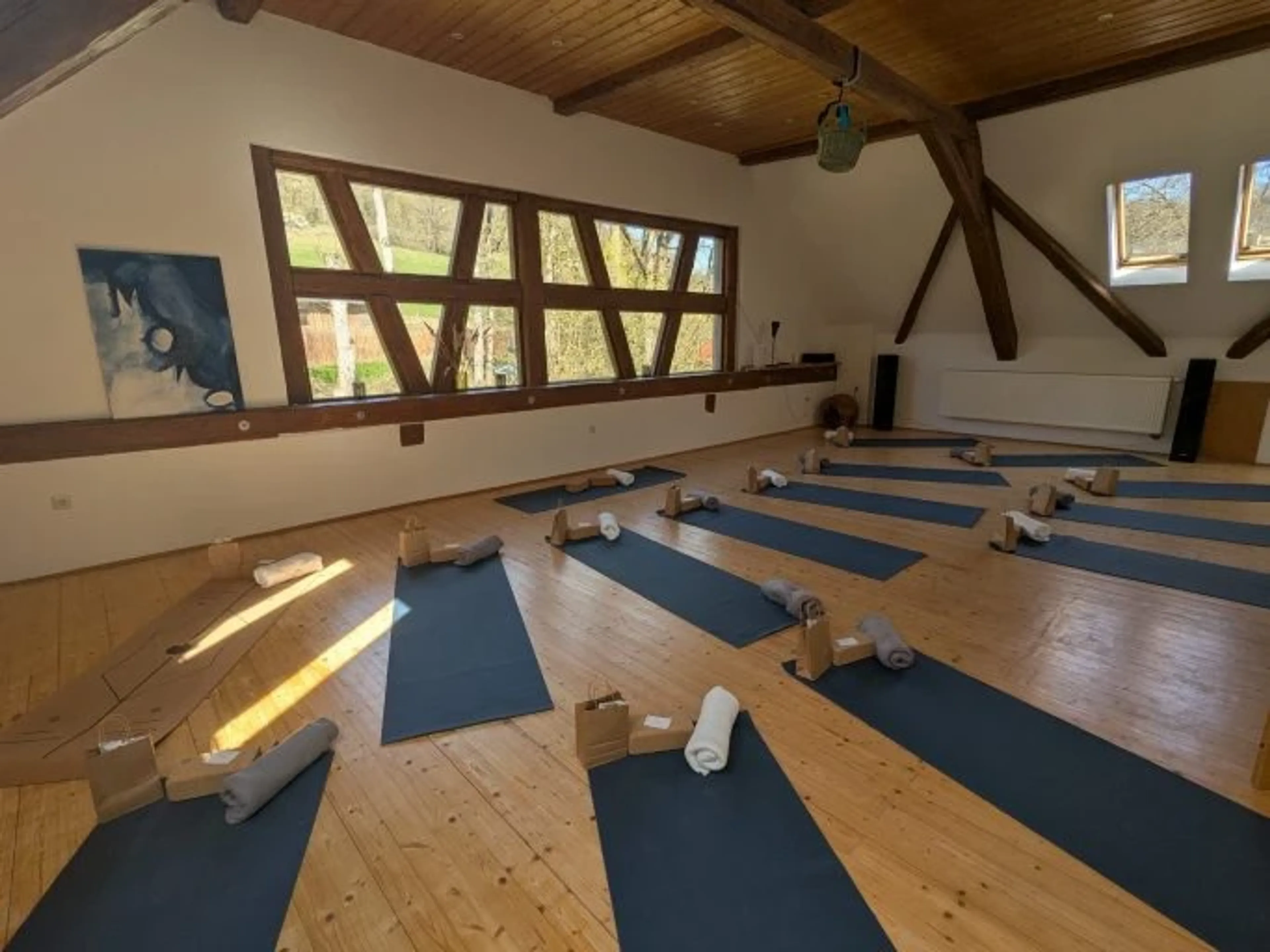 Kraft, Ruhe & Verbindung beim Yoga-Wochenende im Waldviertel - image 1
