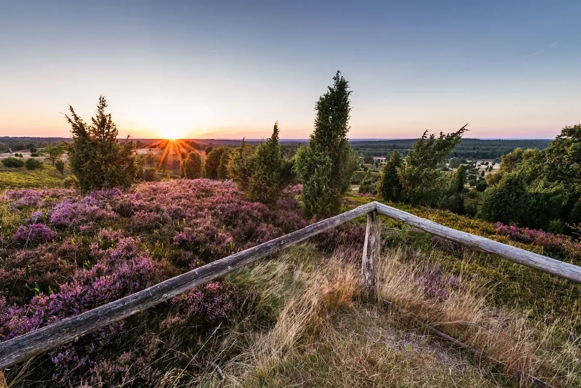 Vitalitäts- und Longevity-Retreat für Frauen in der Lüneburger Heide - 2