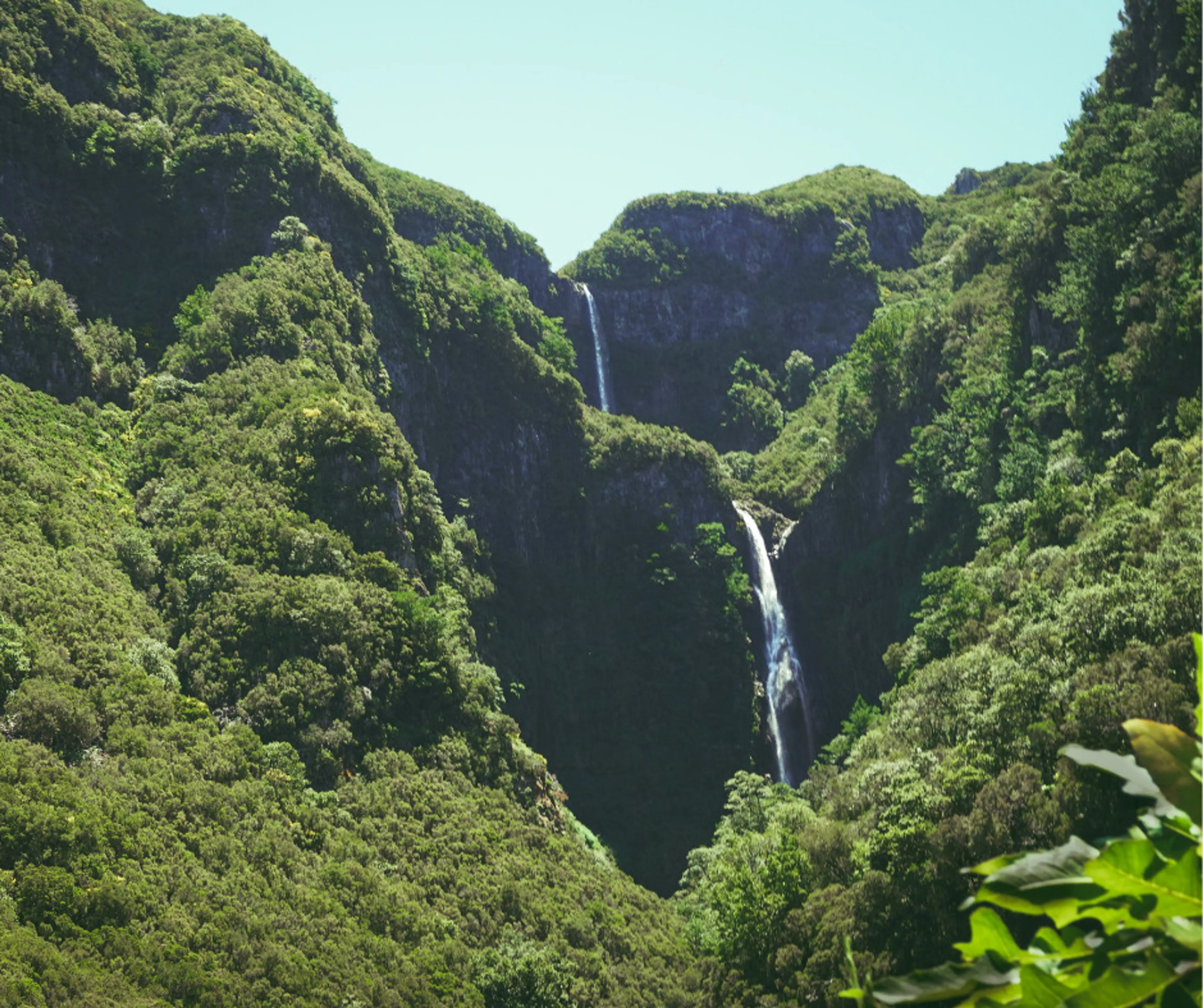 Yoga und Wandern auf der Blumeninsel Madeira - 2