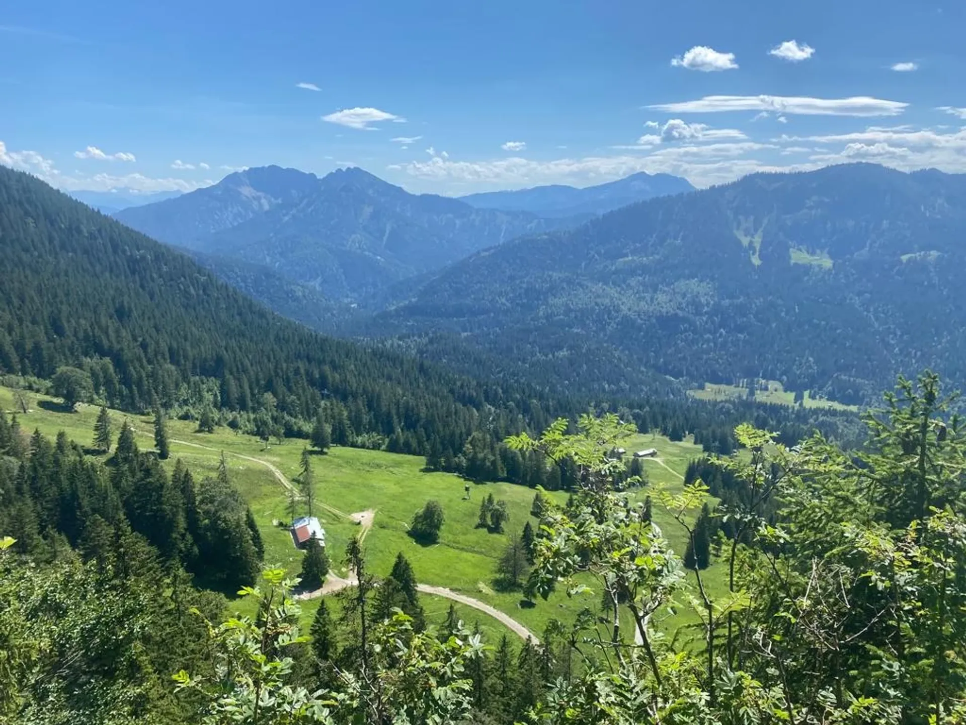 Yoga, Wandern und Waldbaden auf der Oberen Firstalm - 5