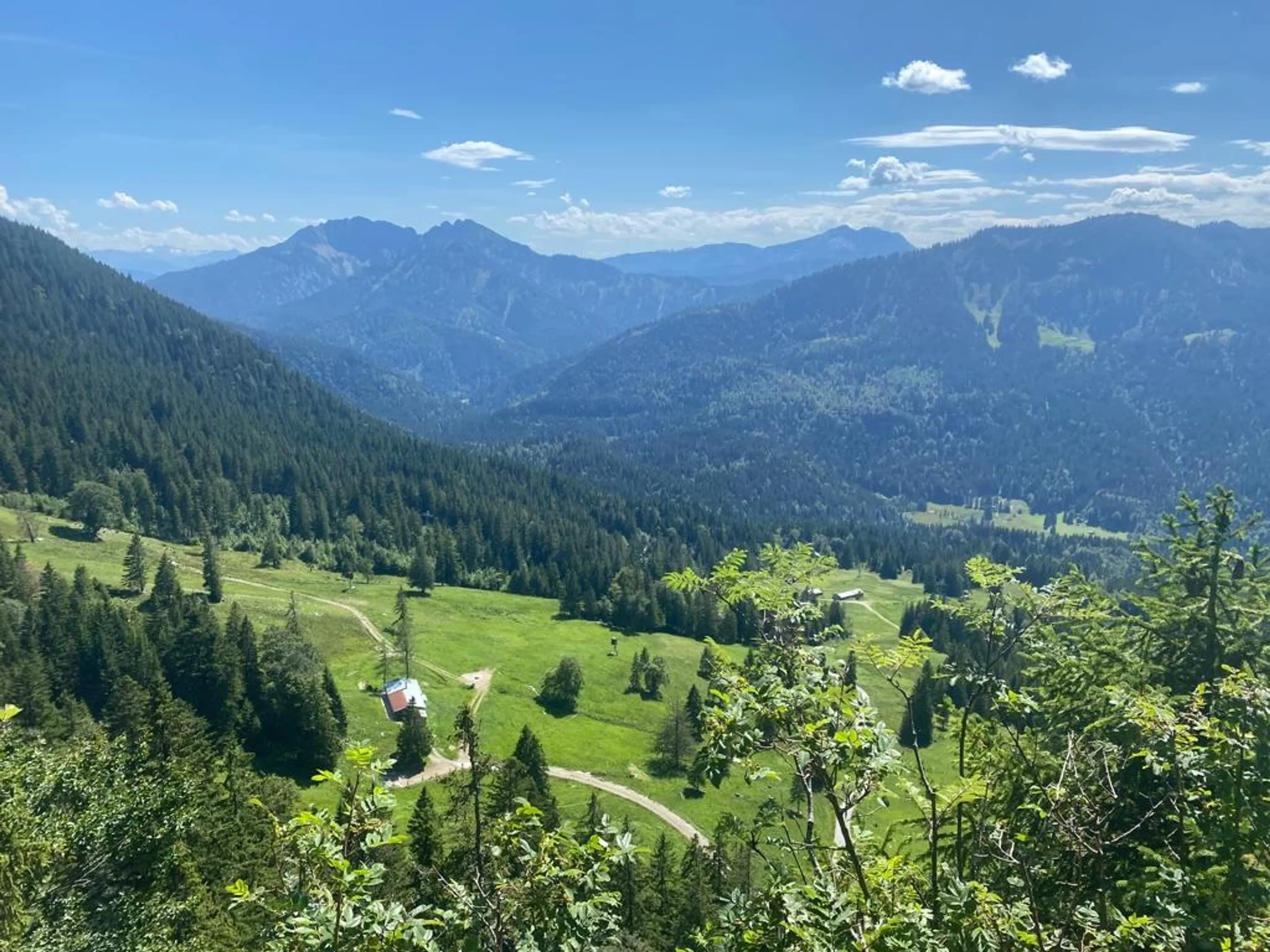 Yoga, Wandern und Waldbaden auf der Oberen Firstalm - 5