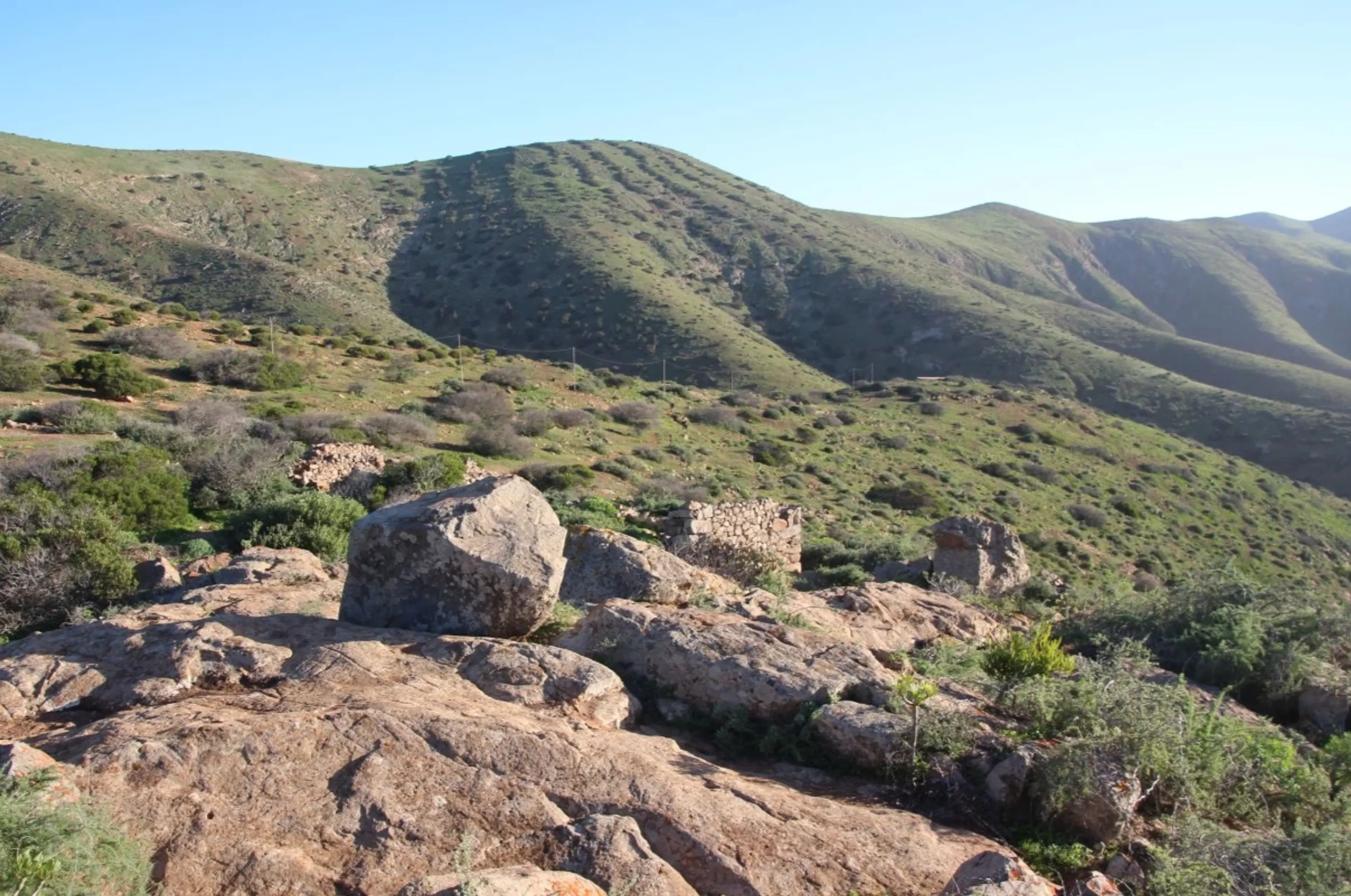 Regeneration unter der Sonne: Yoga & Physiotherapie am Meer - 2