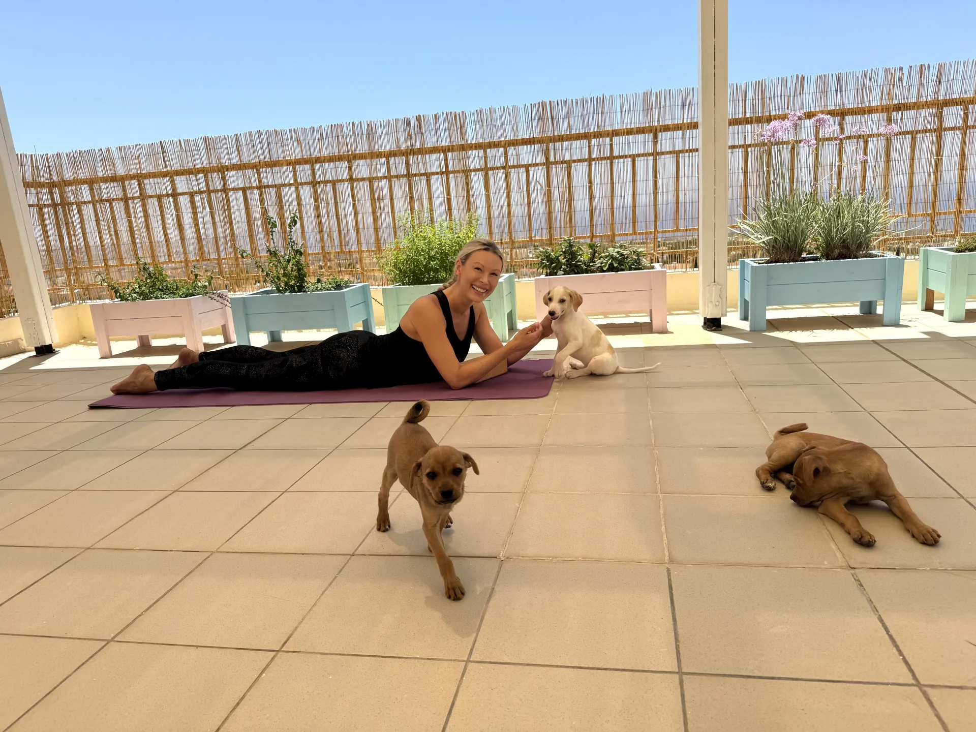 Puppy Yoga und Erholung pur: Retreat an Zyperns Küste - 3