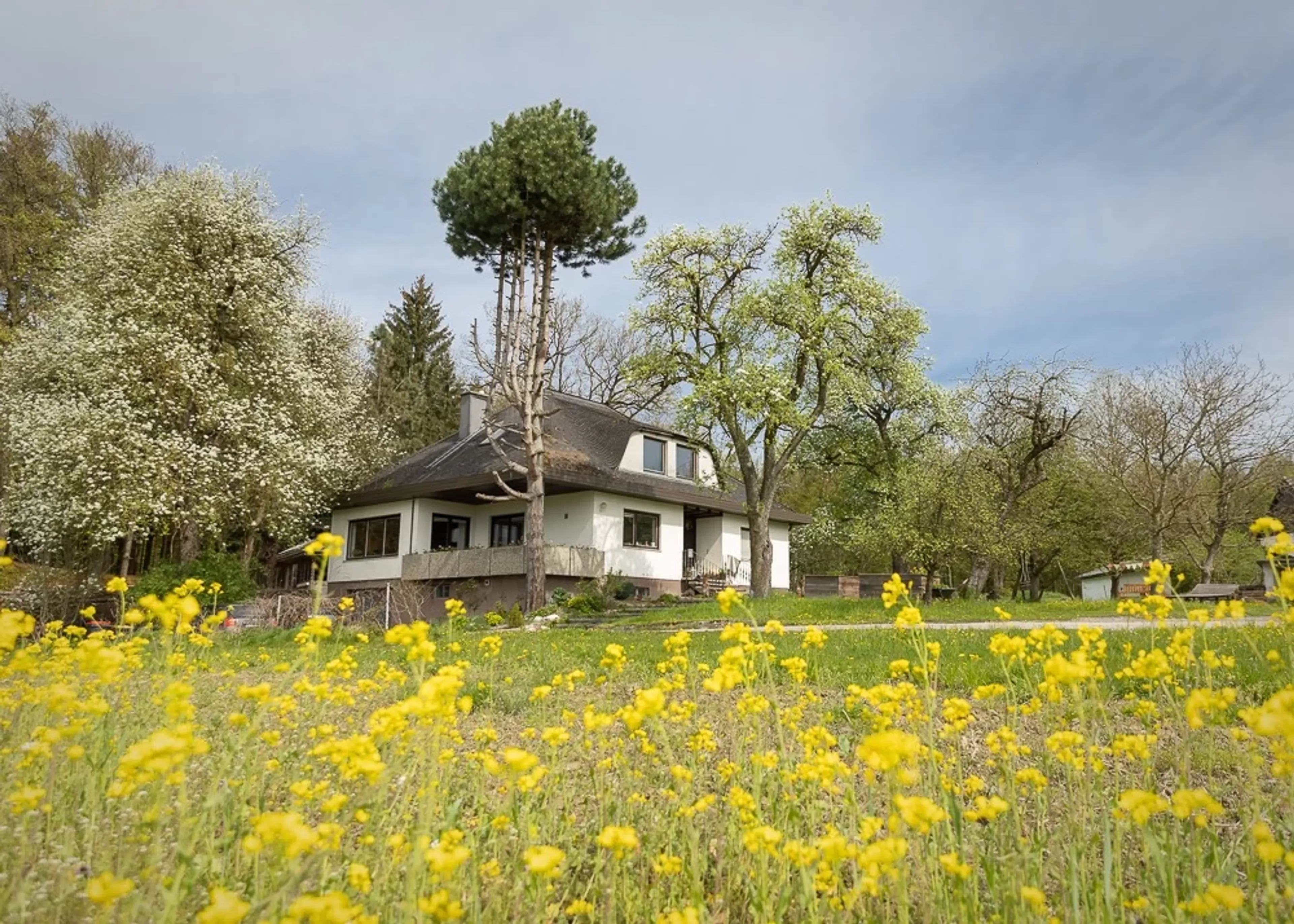 Begegne deinem wahren Selbst: Stilles Yoga Retreat im Ashram - 2