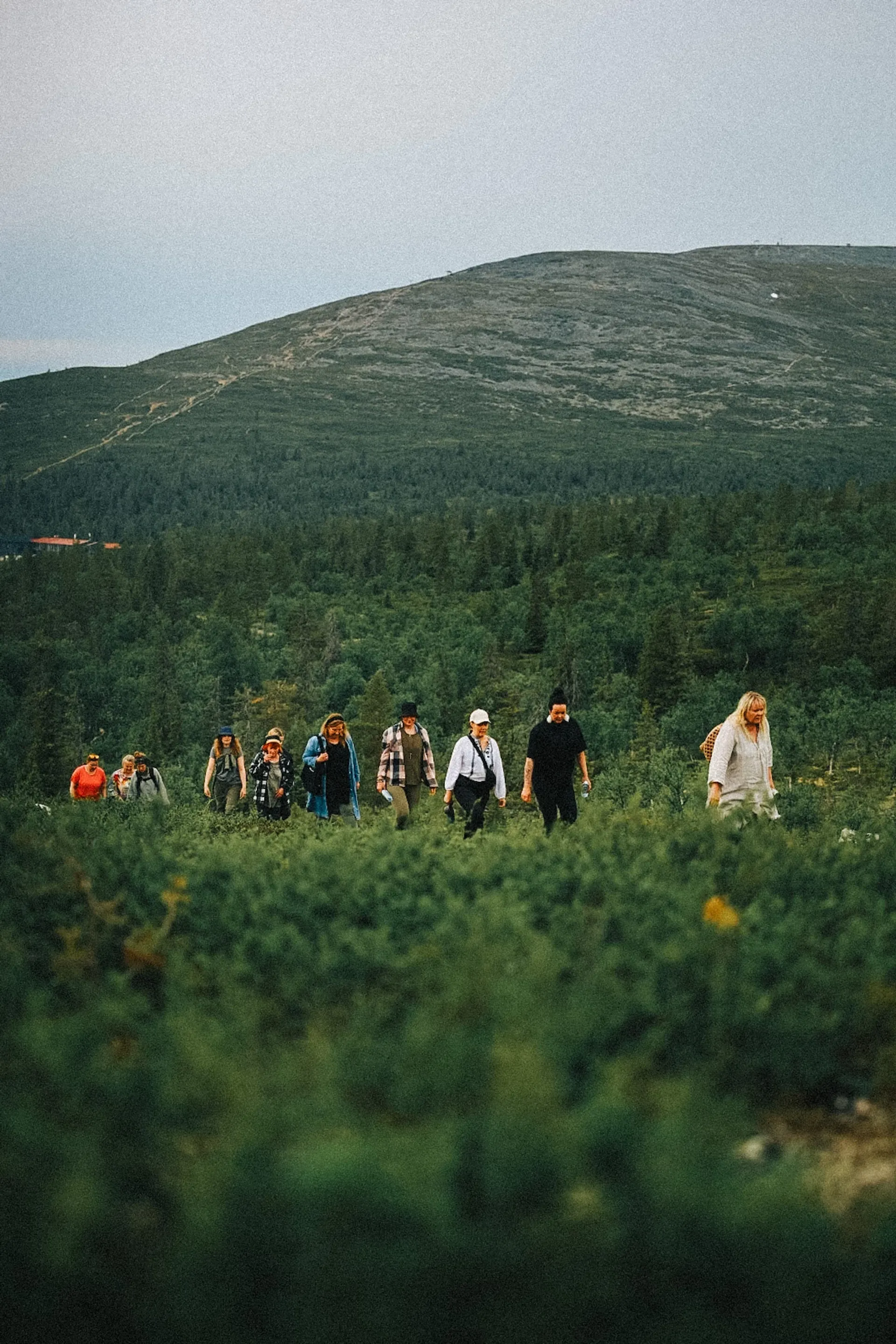 Nordic Light Retreat: Yoga, Wandern & Trommeln in Lappland - 3