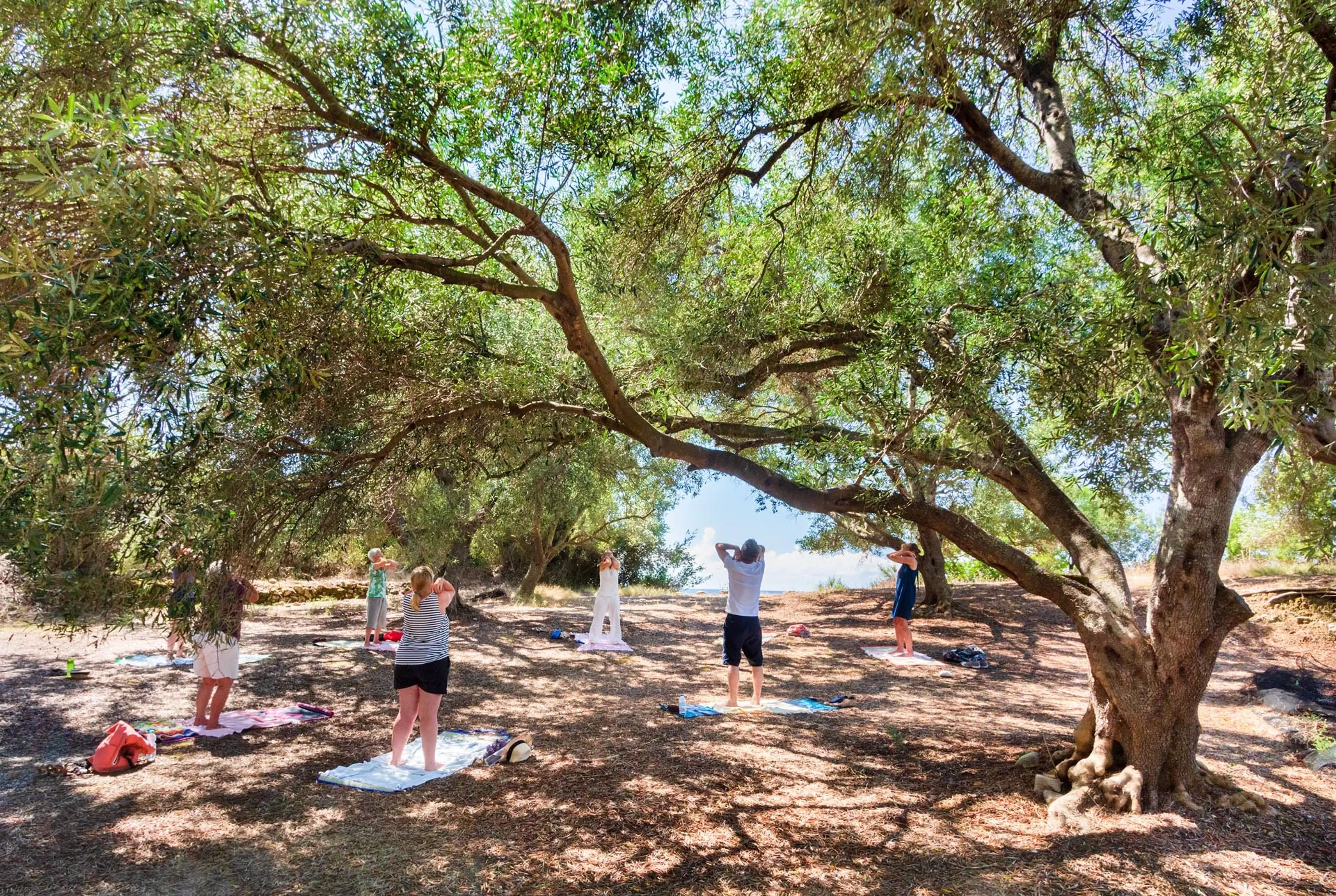 Qigong Urlaub auf Korfu - Harmonie für Körper, Geist und Seele - 5