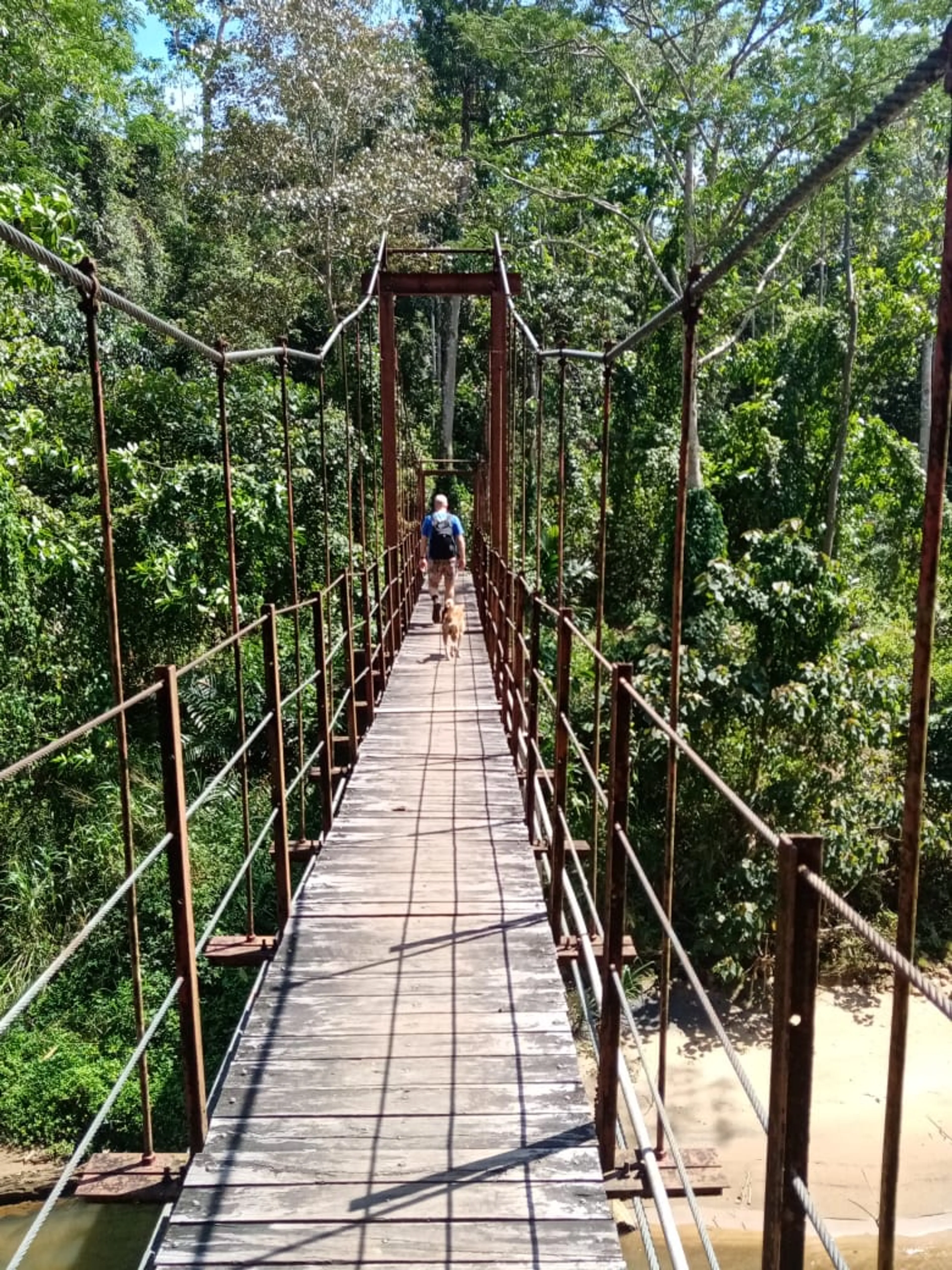 Wandern und Radfahren im letzten unberührten Regenwald Sri Lankas - 2
