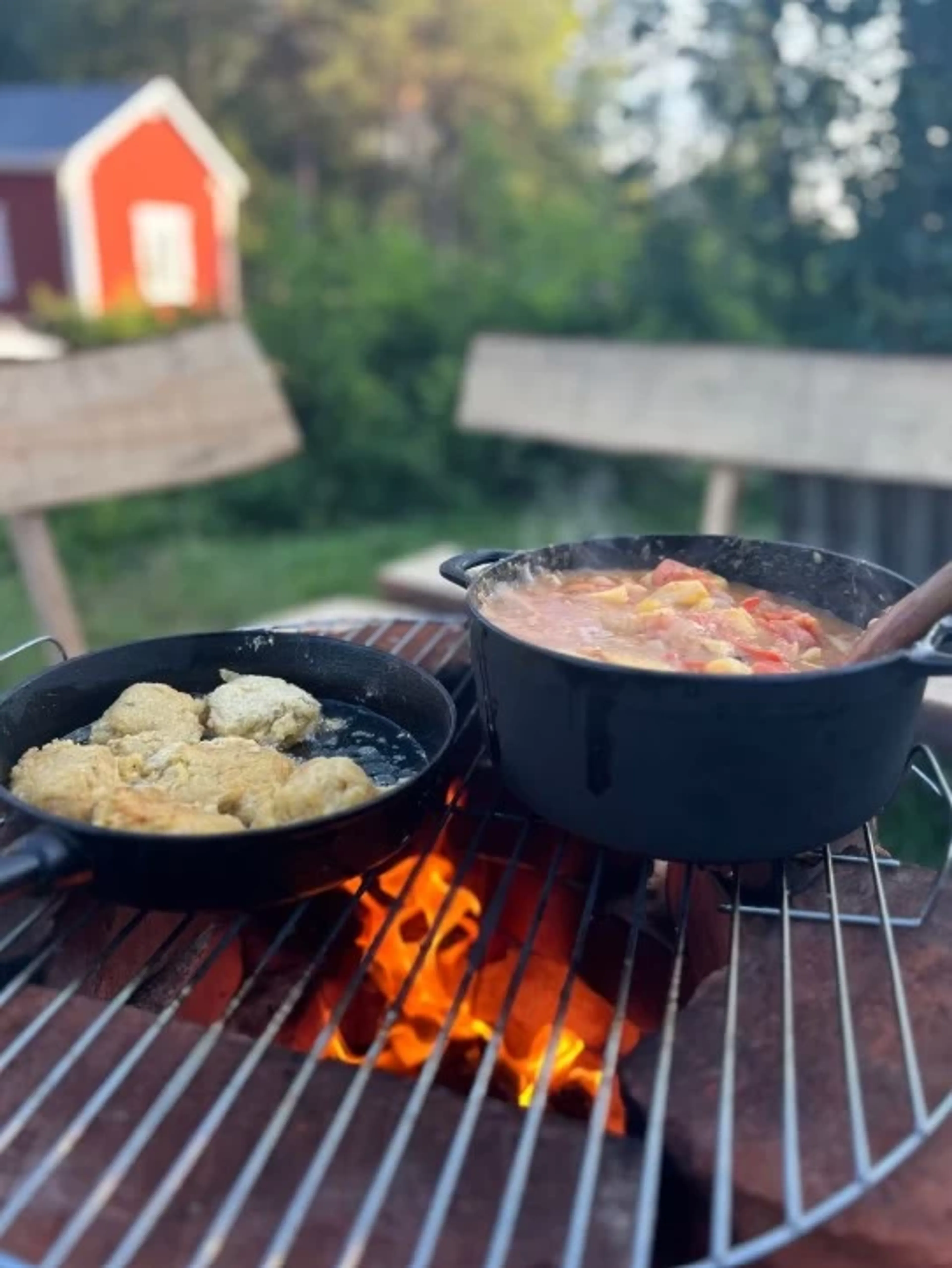 Deine achtsame Auszeit mit Schlittenhunden im Herzen Lapplands - 5