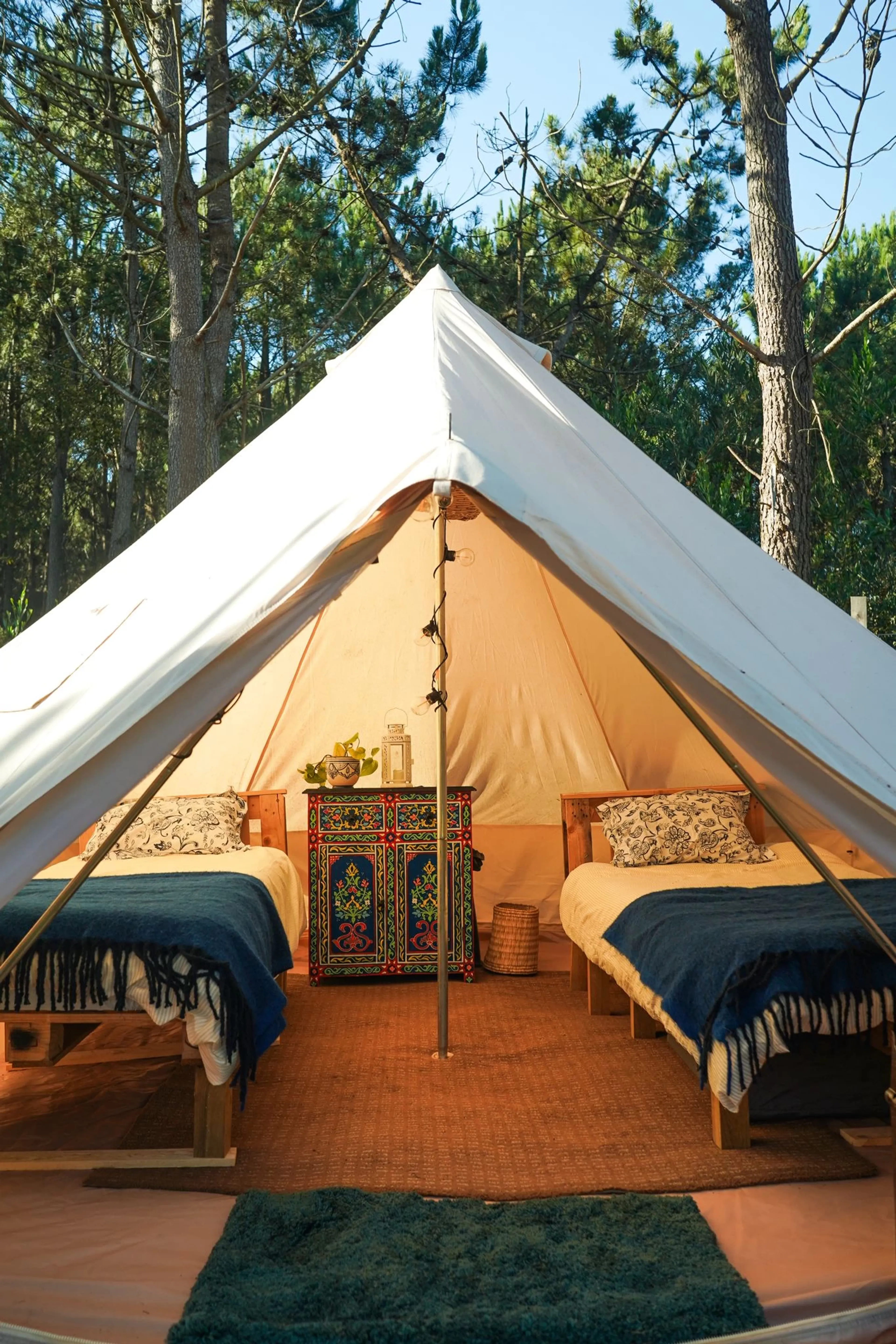 Eco Surf Camp im Pininenwald: Schuhe aus und ab in die Wellen - image 1