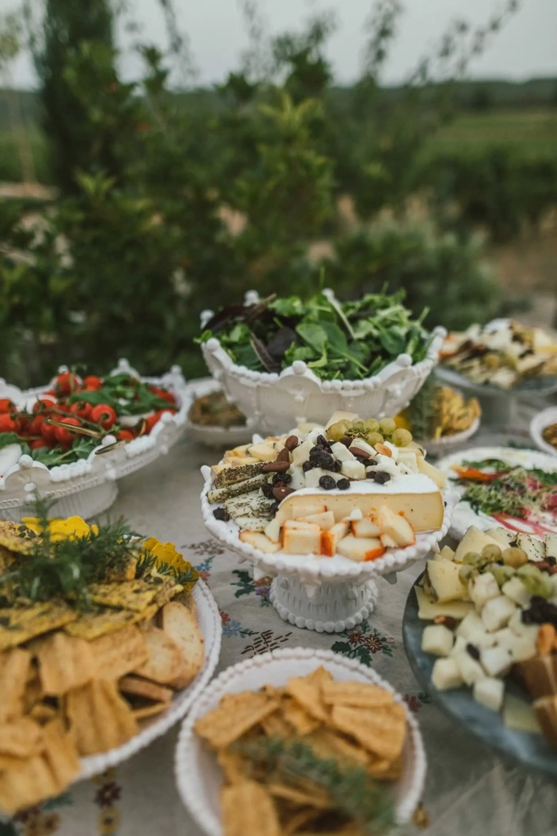 Kraftvoll verbunden: Yoga, Natur & Genuss im Herzen Kataloniens - 5
