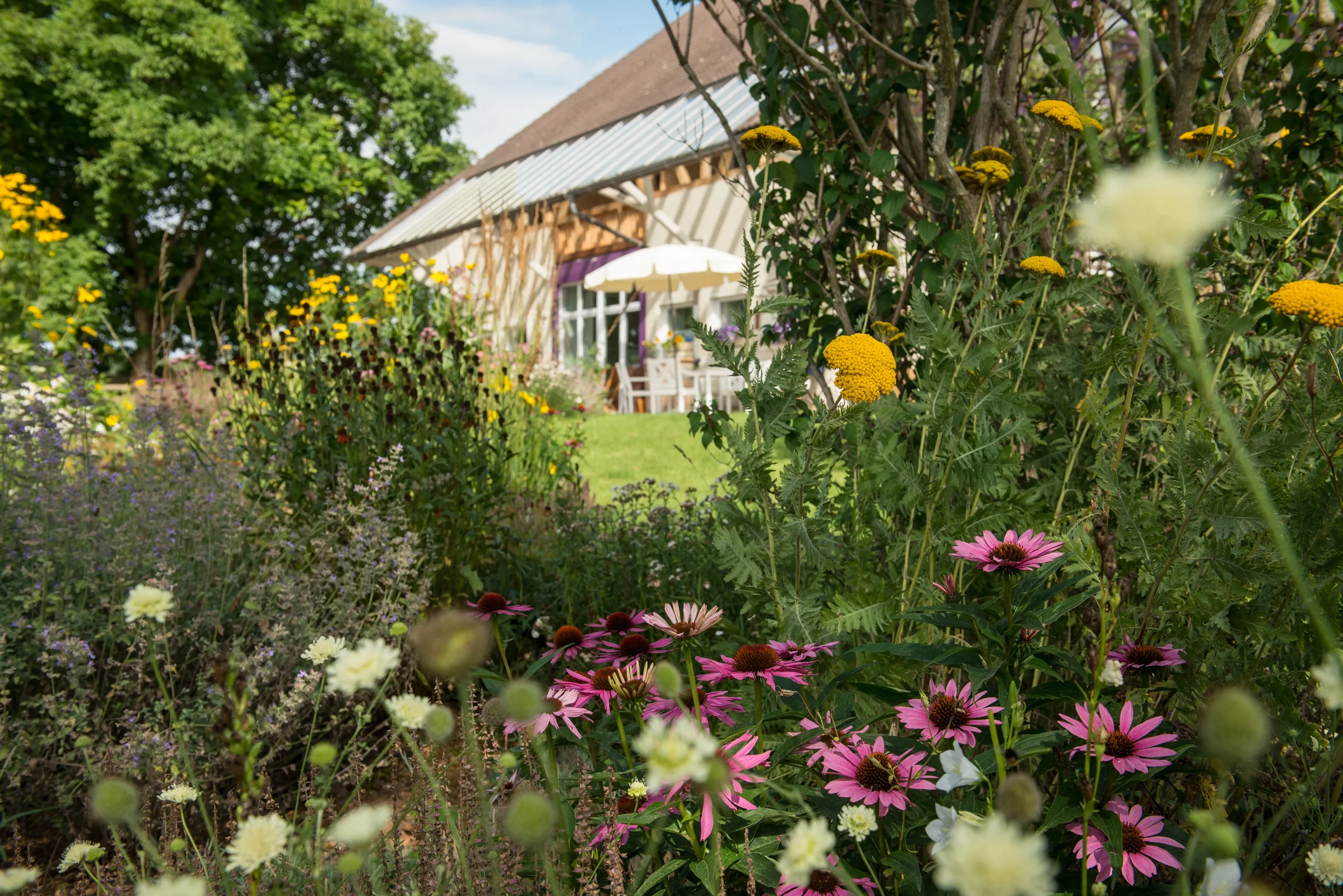 Self-Love Healing Yoga Retreat im Schwarzwald - 5