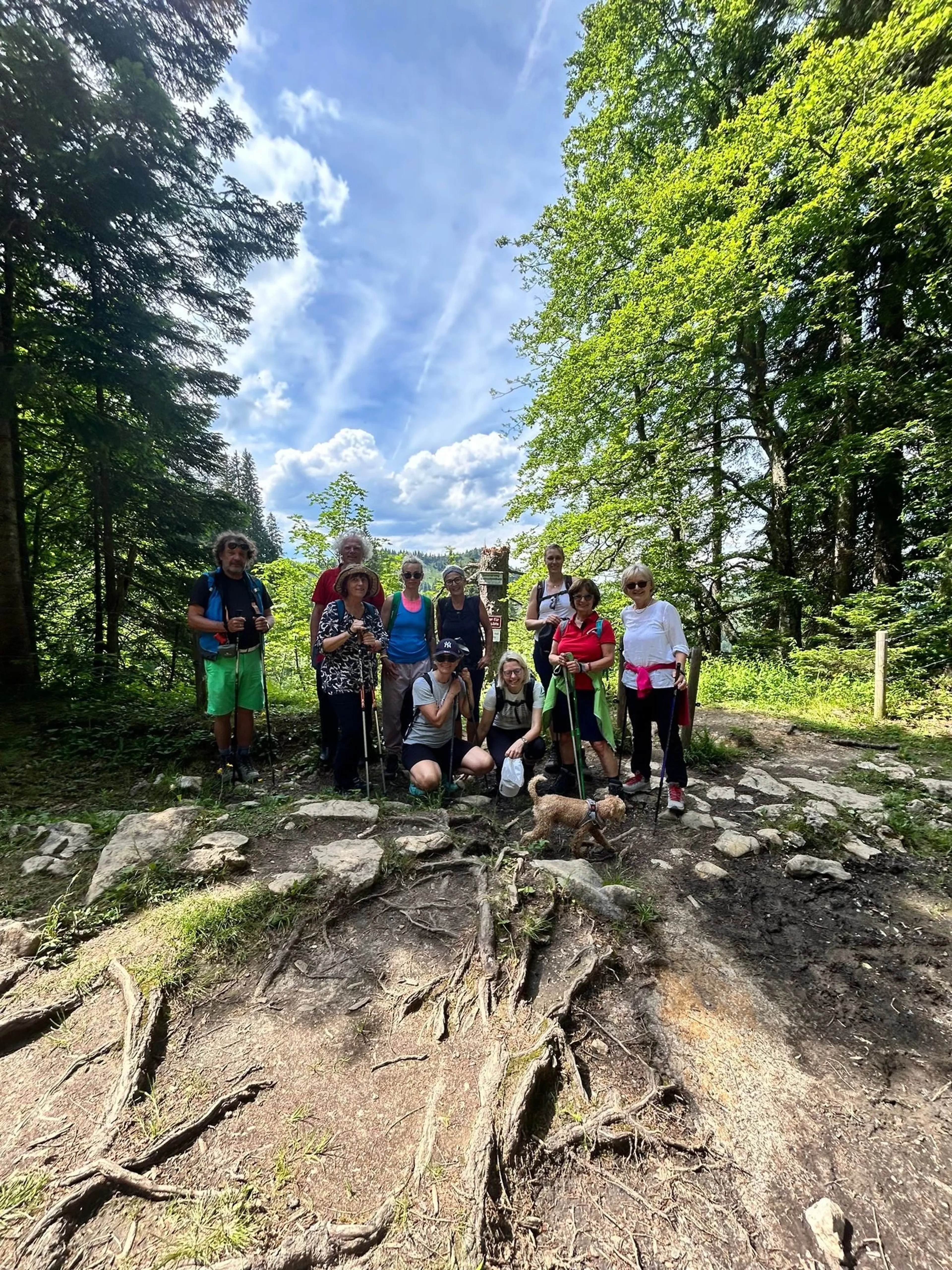 Yoga, Wandern und Breathwork auf 1300 Metern Höhe - 3