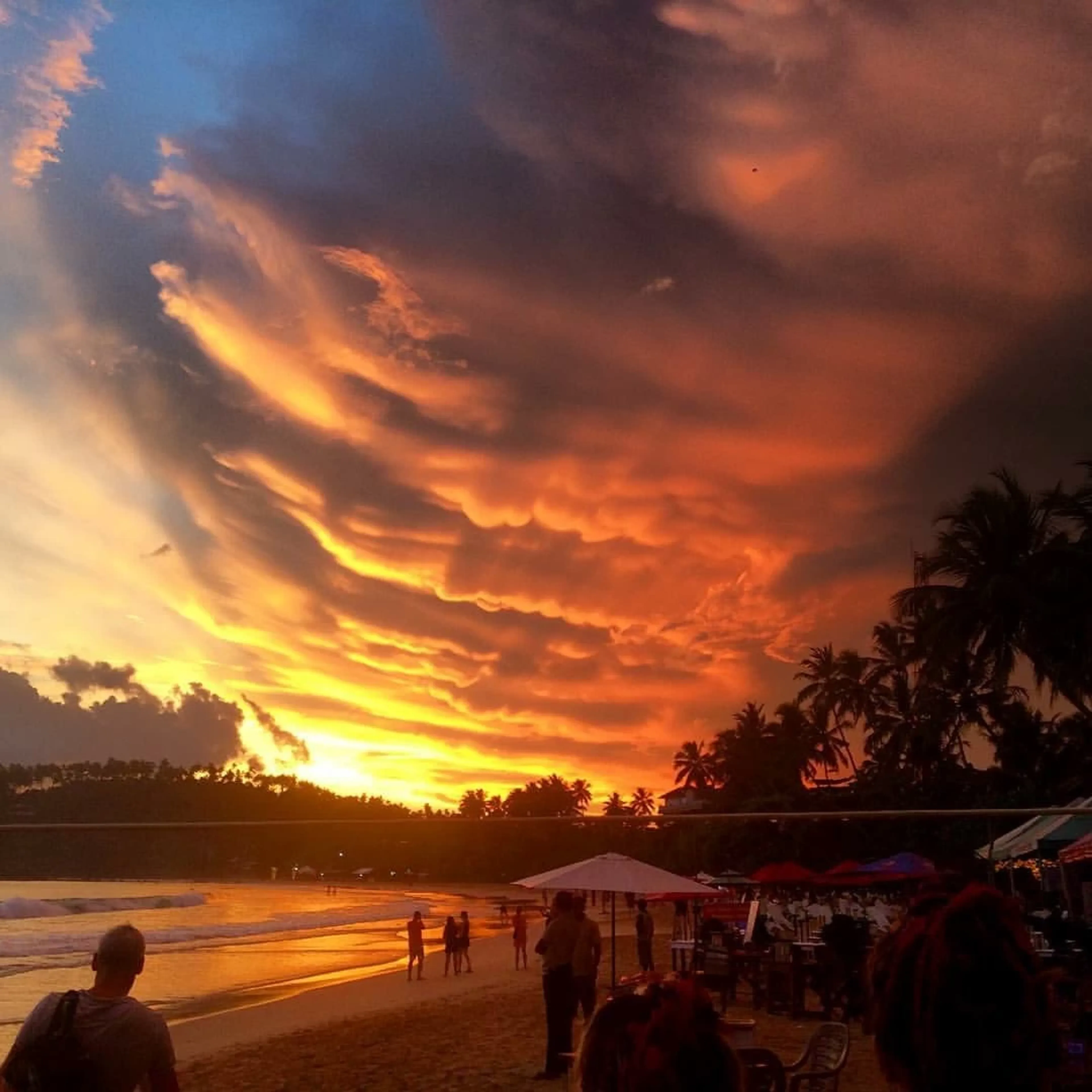 Surfcamp in Weligama: Surfen, Chillen & Feiern direkt am Strand - 3