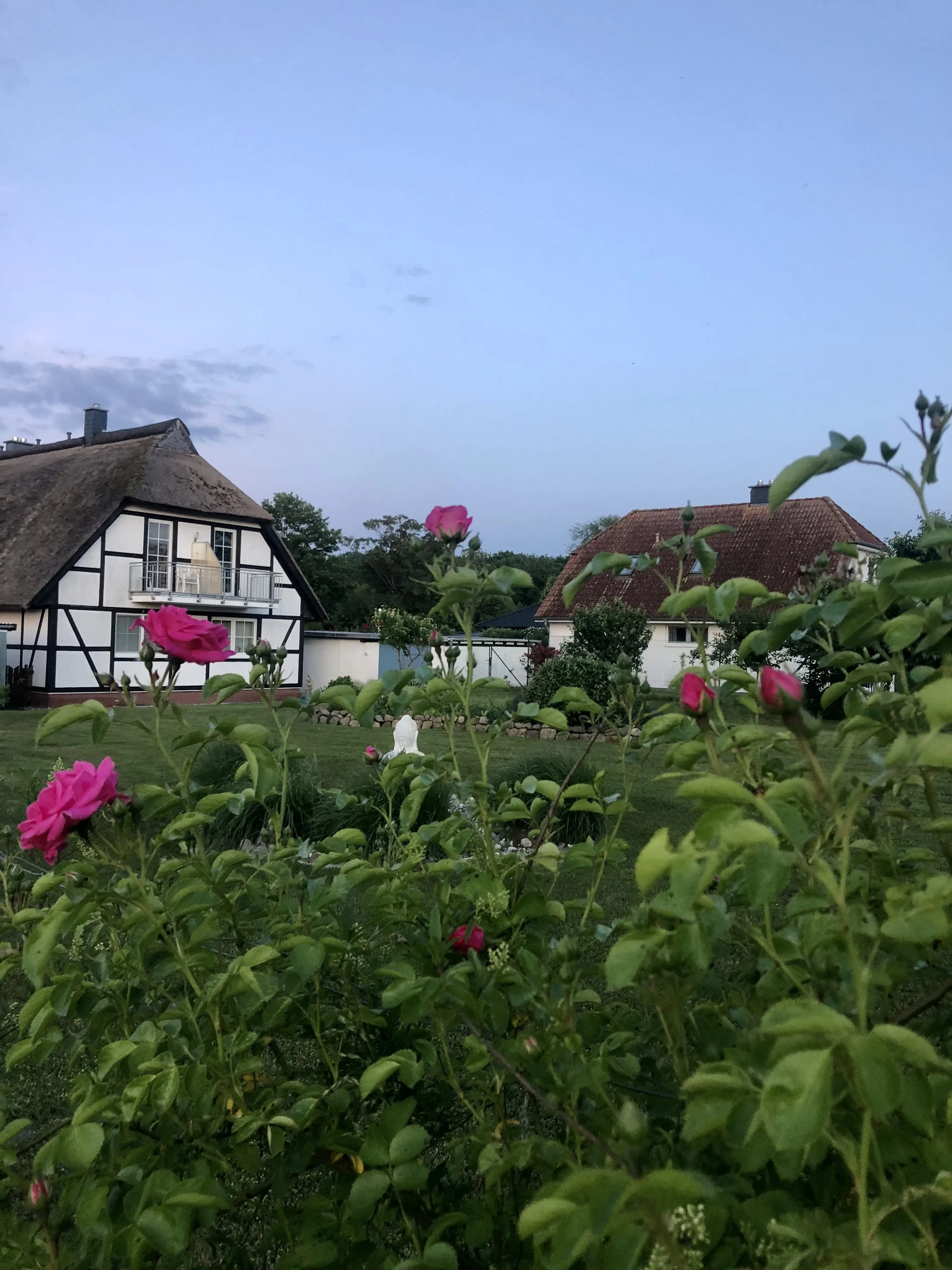 Aloha und Om: Yoga und Windsurfen auf Rügen - 3