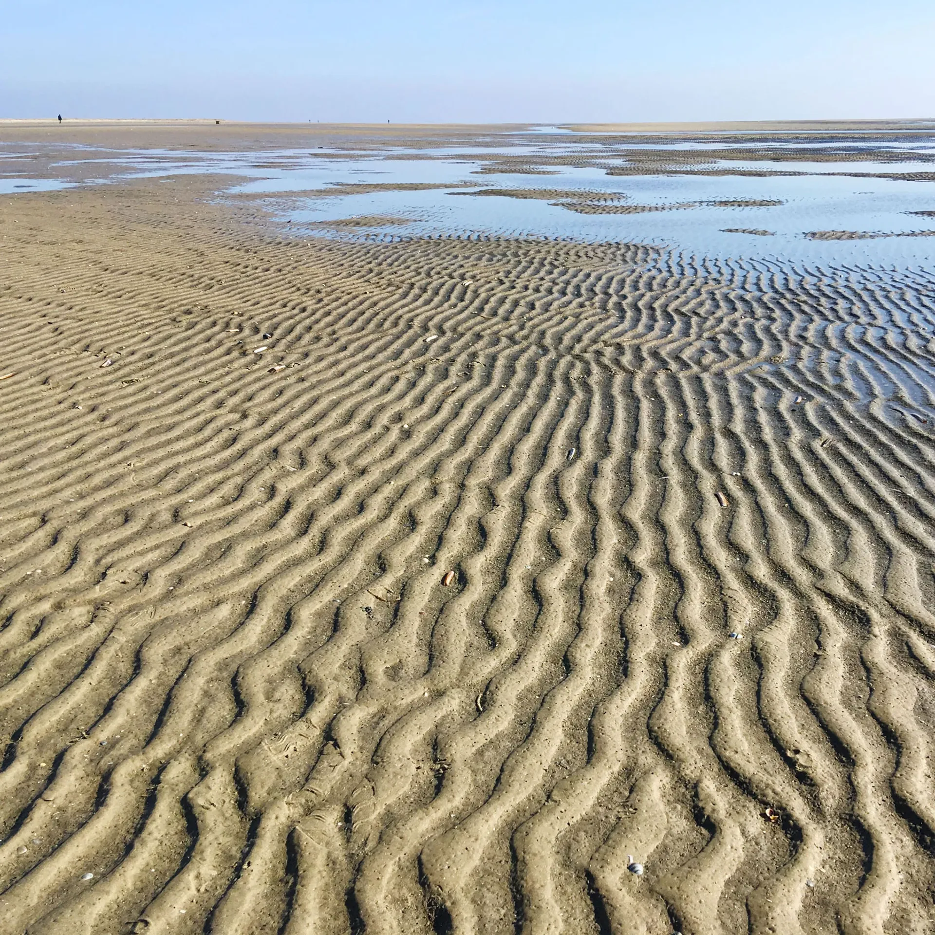 Tief einatmen & Stress loslassen: Dein Yoga-Retreat an der Nordsee - 5