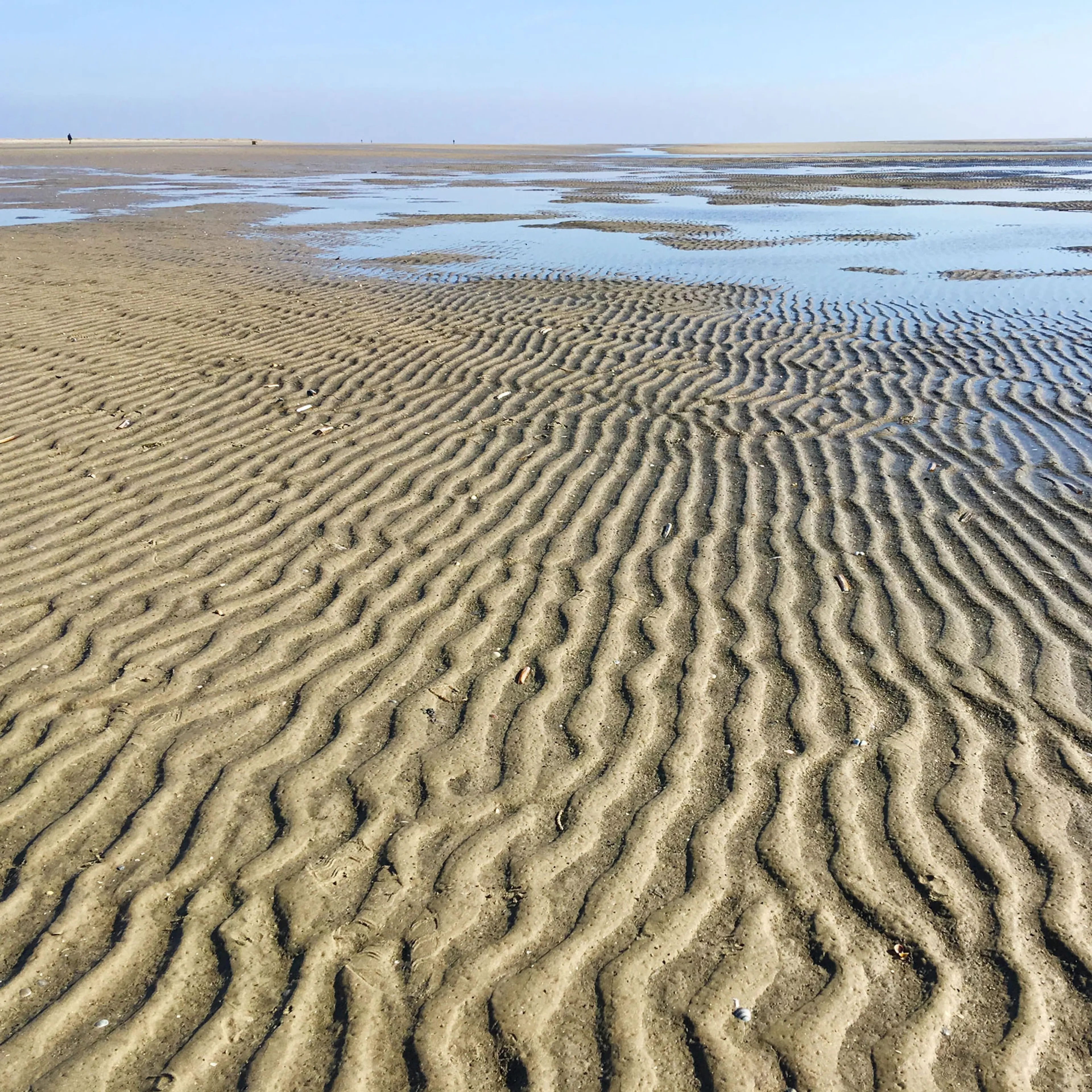 Tief einatmen & Stress loslassen: Dein Yoga-Retreat an der Nordsee - 5