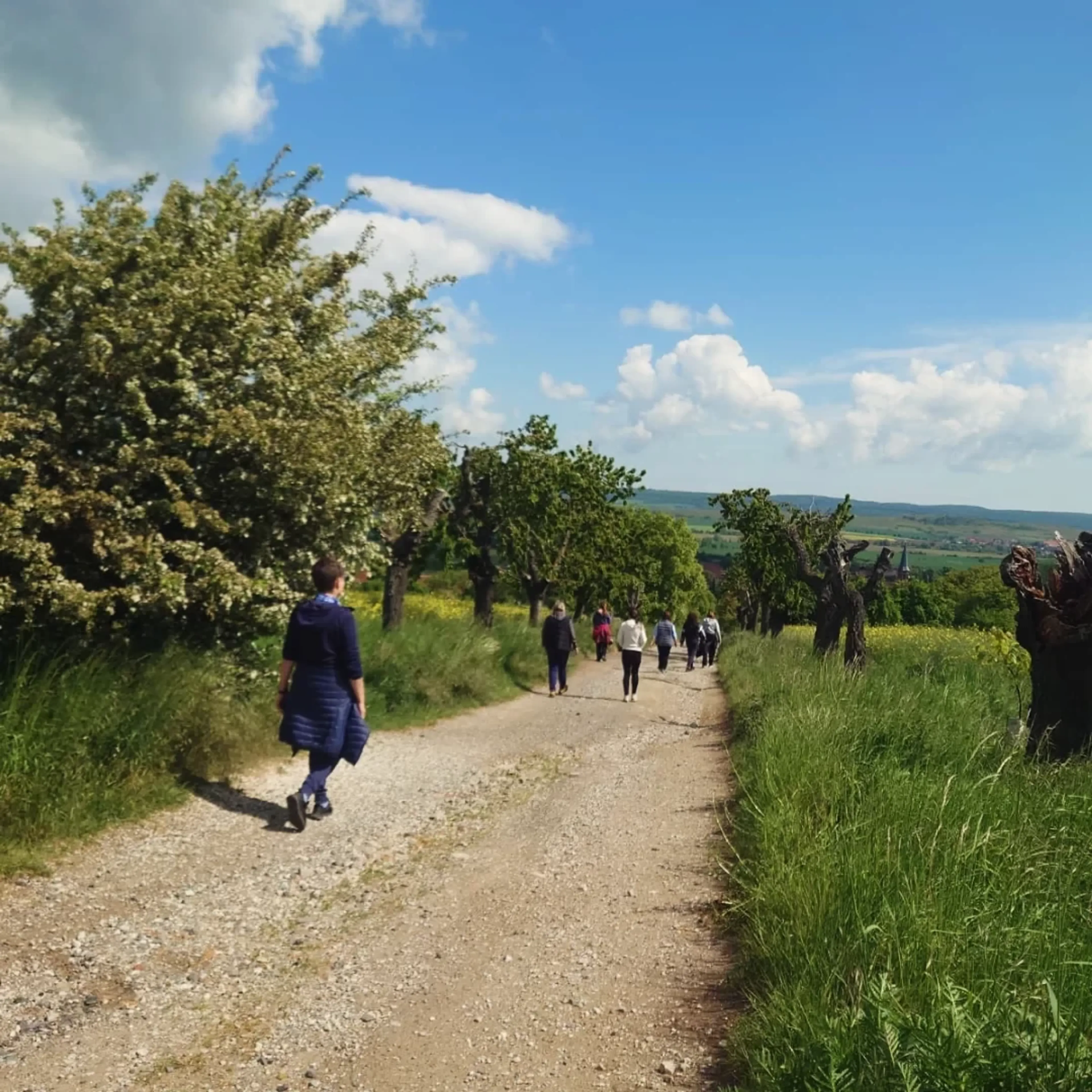 Yoga- und Meditationswochenende im Kloster Donndorf - 2