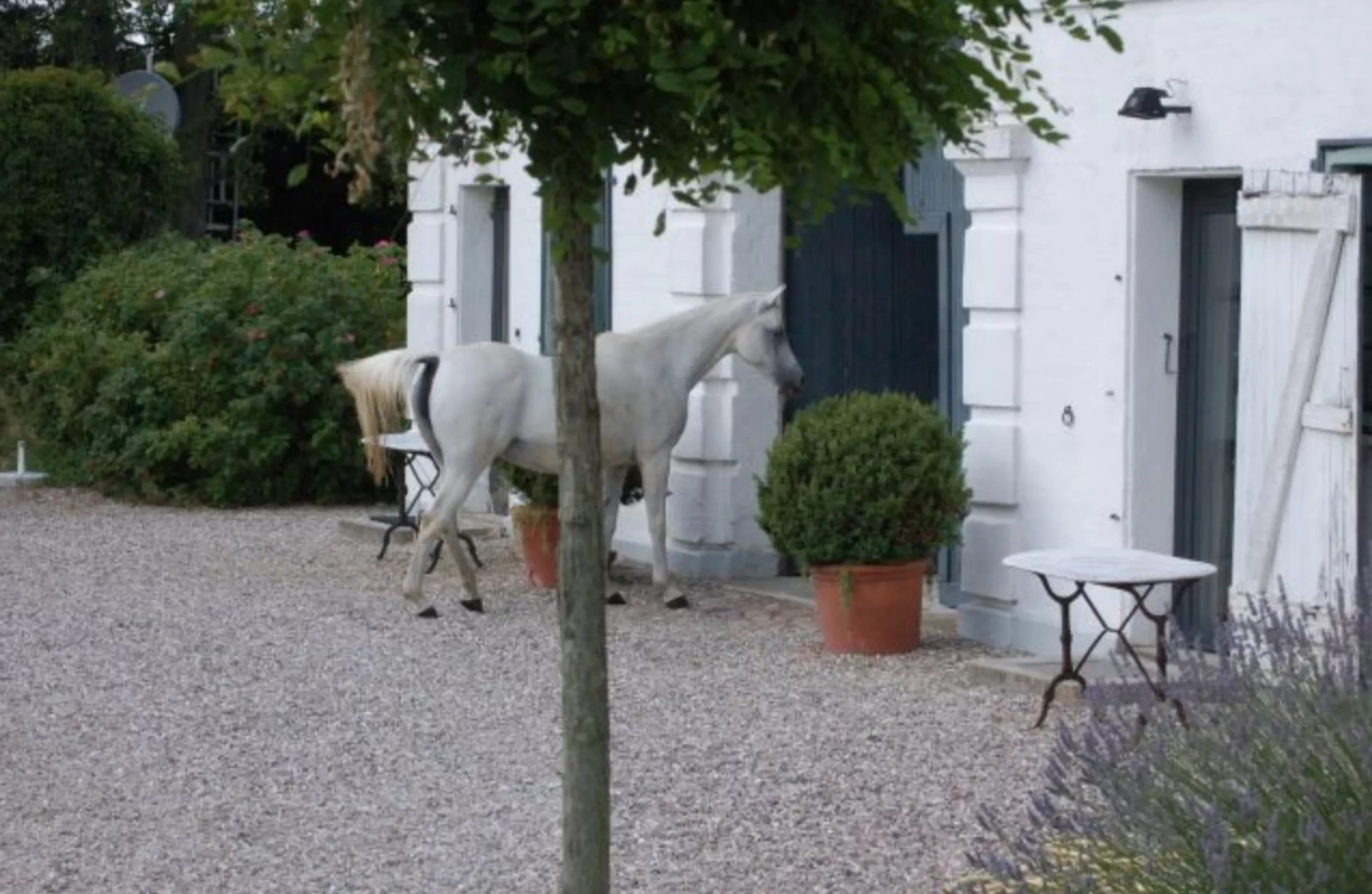 Pilates-Wochenende im alten Gutshof nahe der Ostsee - 4