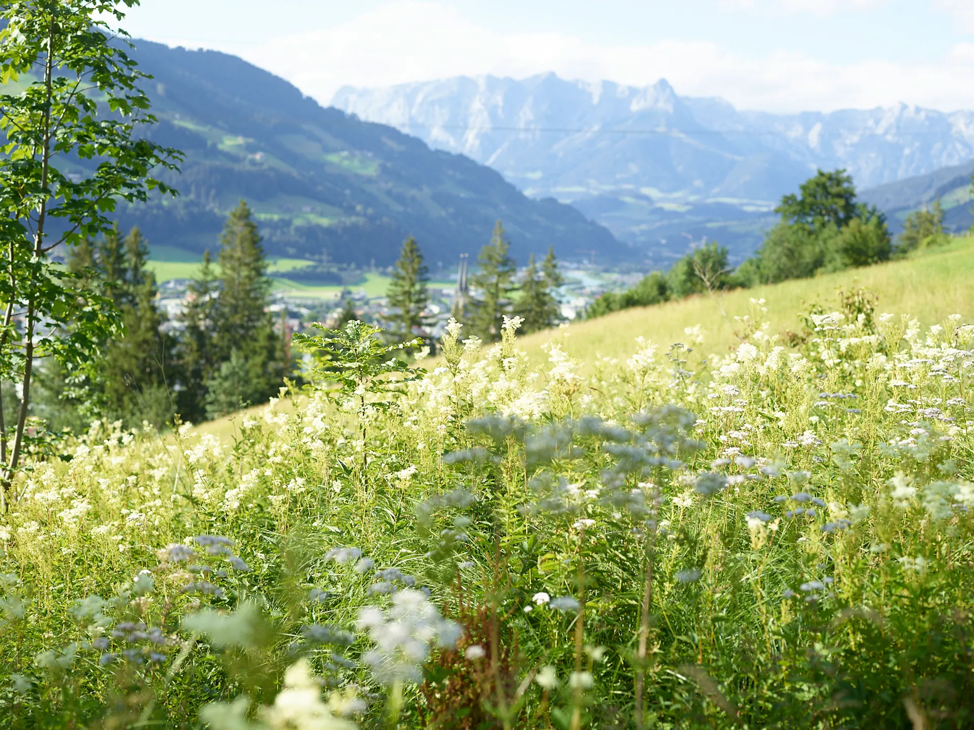 Yoga-Retreat mit Kräuterführung in den Salzburger Bergen - 3