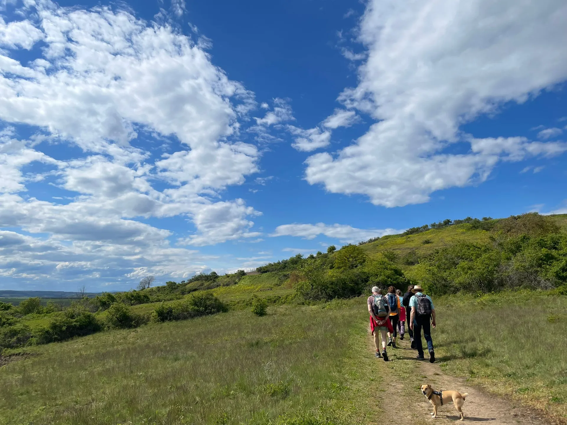 Yoga und Wandern im Biosphärenreservat Rhön