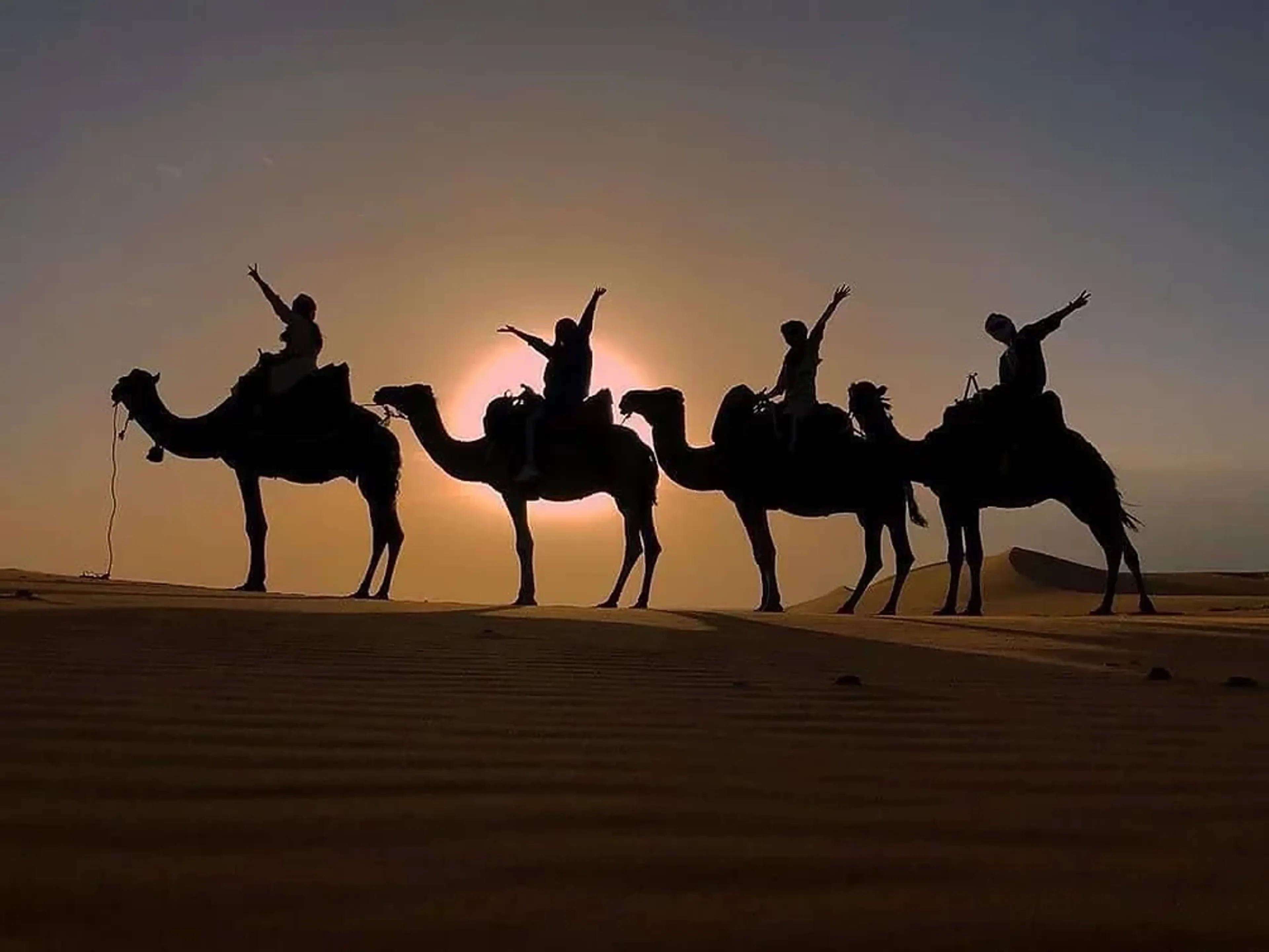 Yoga und Abenteuer in der magischen Sahara-Wüste - 5