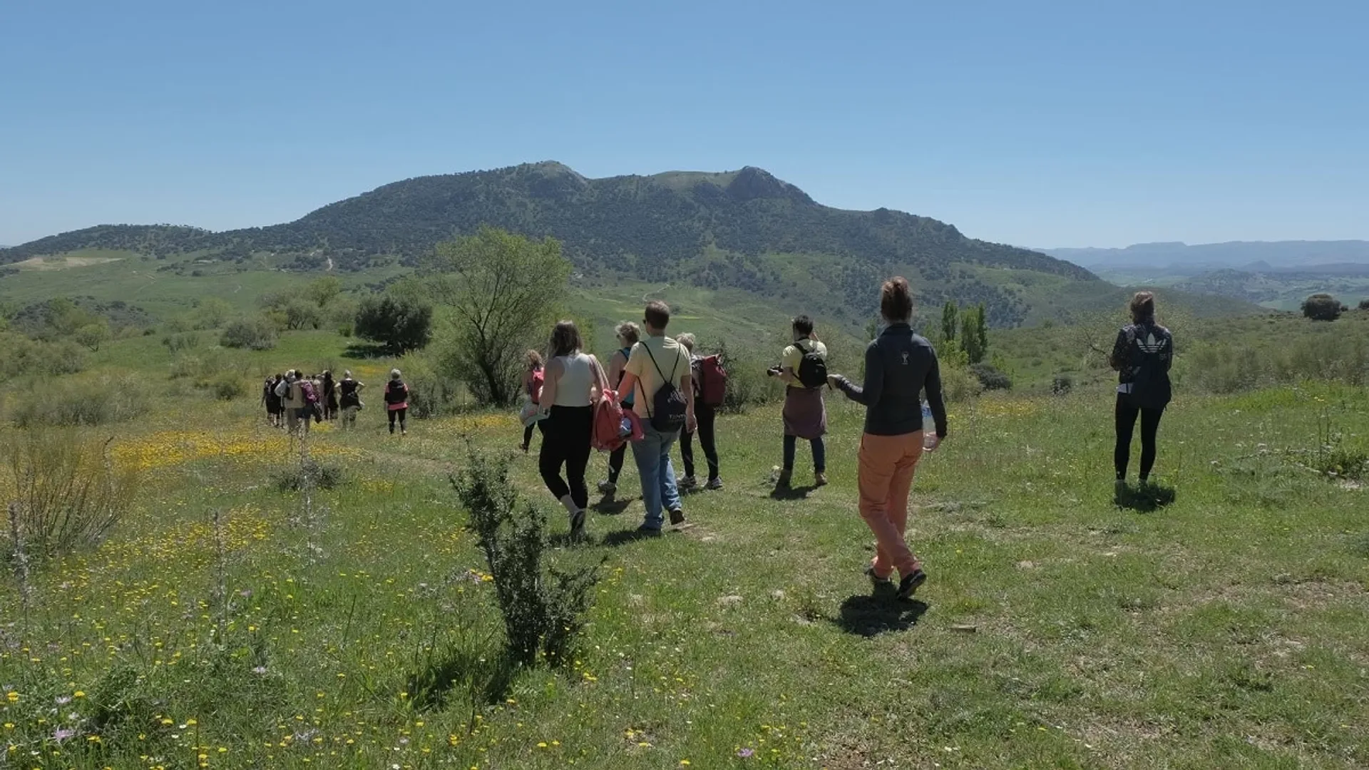 Pfade der Stille: Yoga und Naturerlebnis in Andalusien - 4