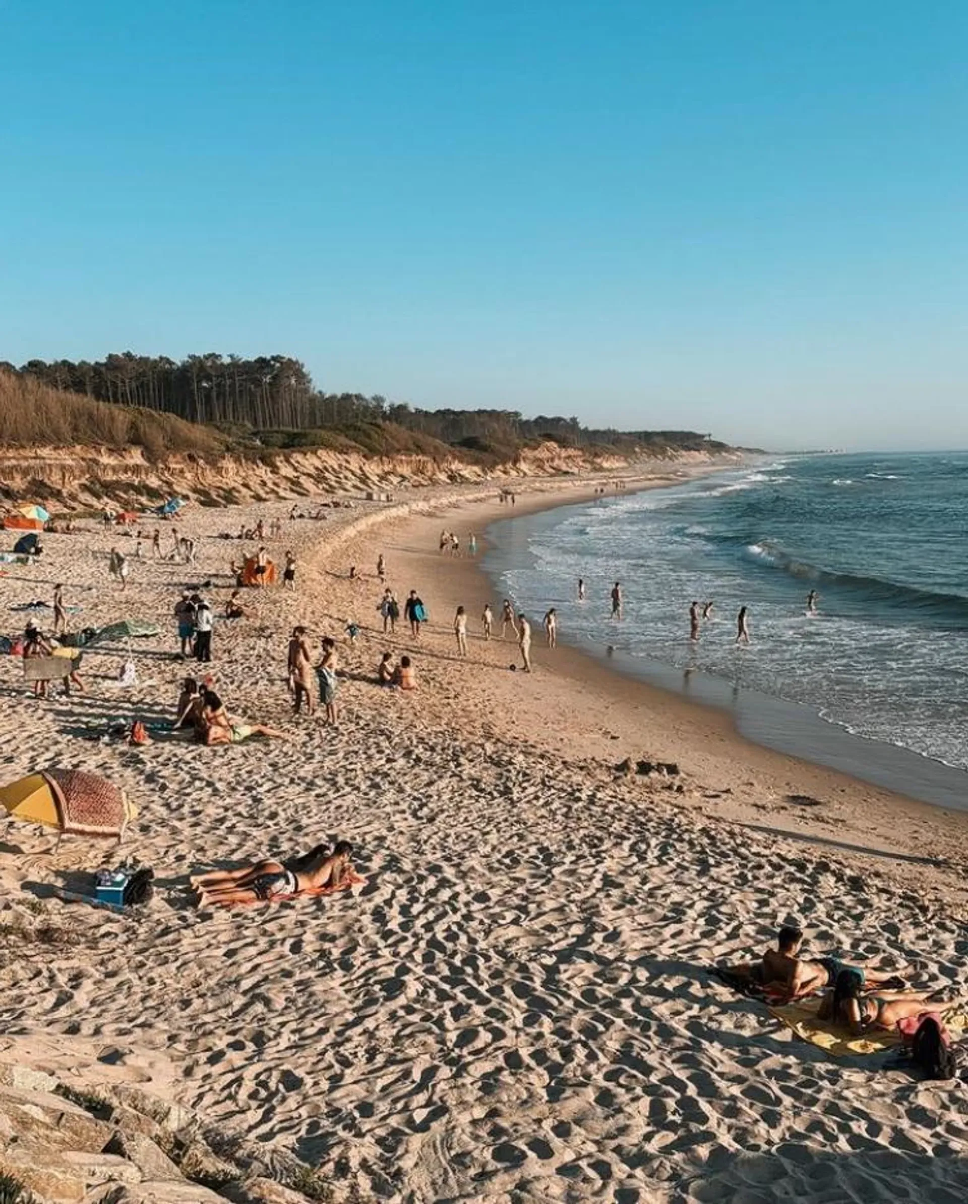 Eco Surf Camp im Pininenwald: Schuhe aus und ab in die Wellen - 2