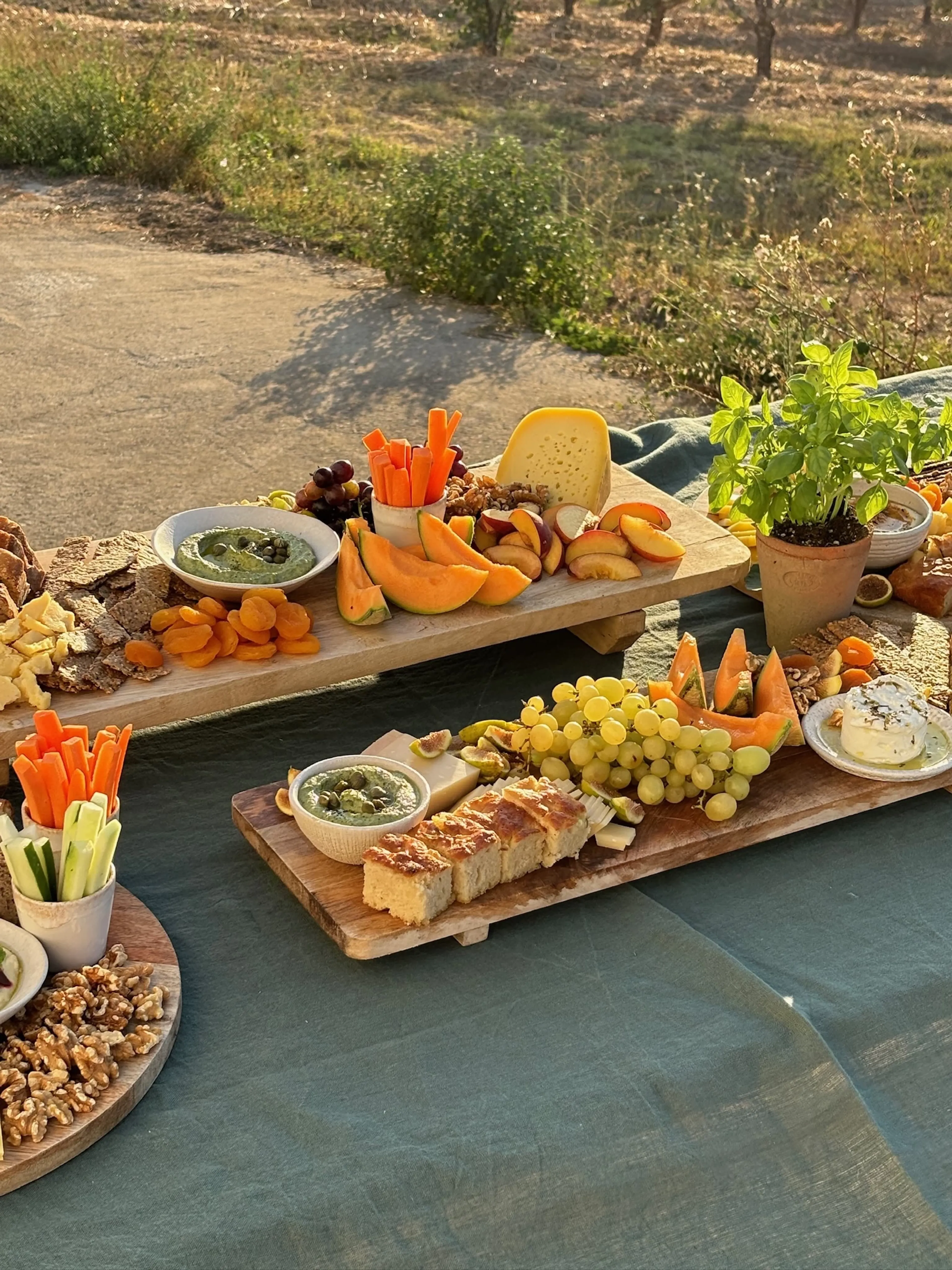 2 Minuten zum Strand - Surfen, Natur & Gemeinschaft südlich von Porto - 5
